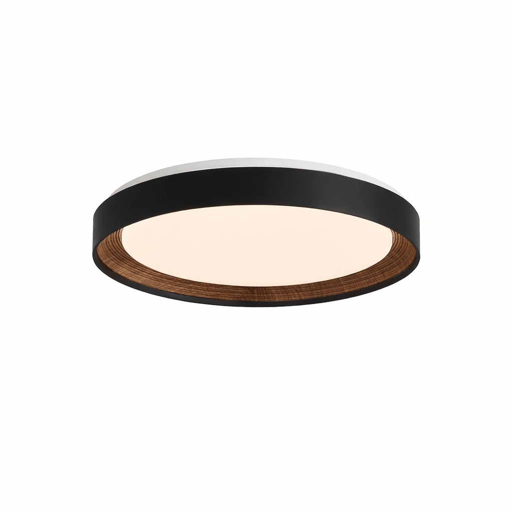Arto Disc Plafondlamp