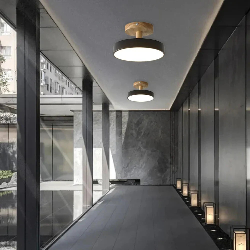 Pedol Plafondlamp