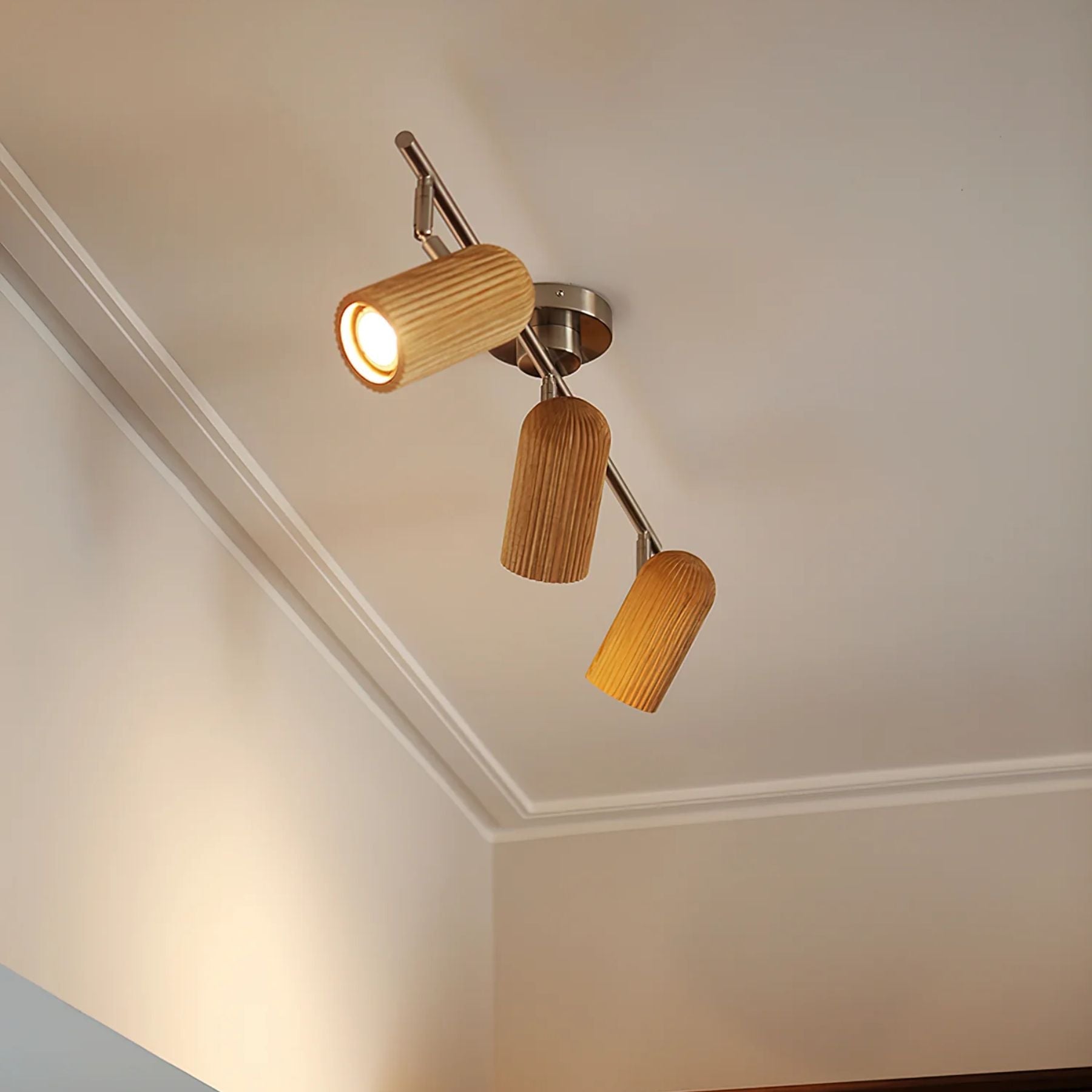 Trevizo Plafondlamp