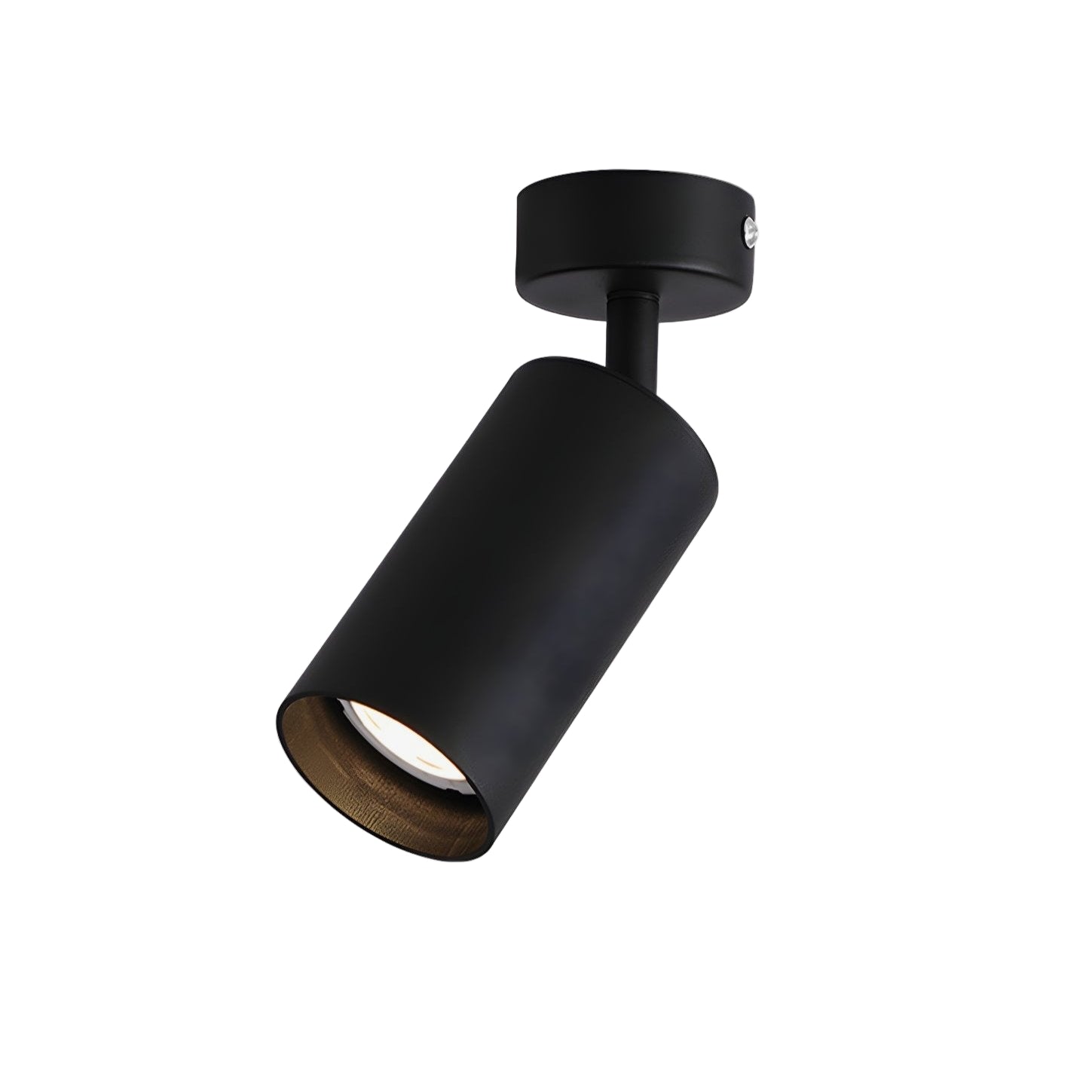Alzo Spotlight Plafondlamp