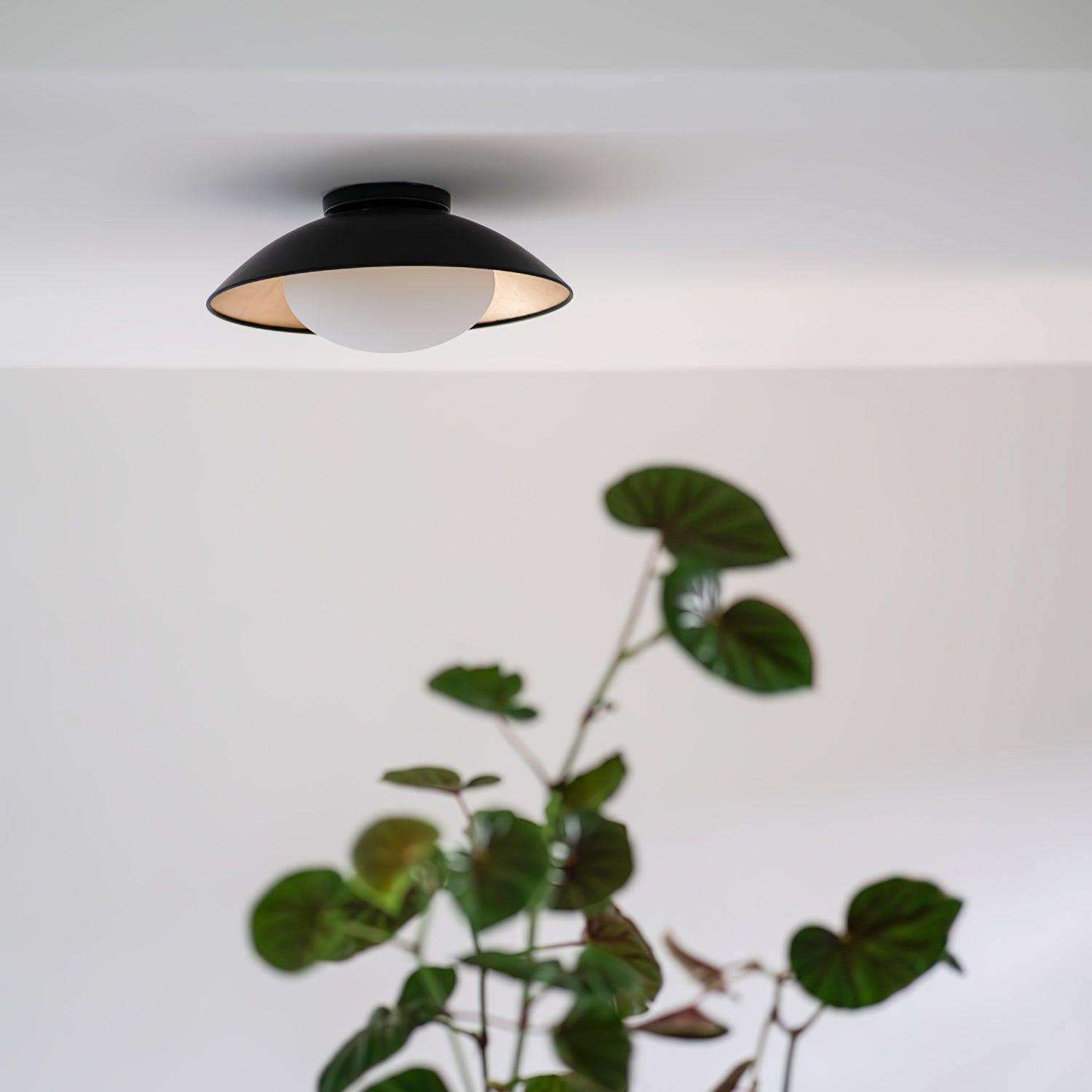 Adrienne Plafondlamp (NAAM DUBBEL VAK)