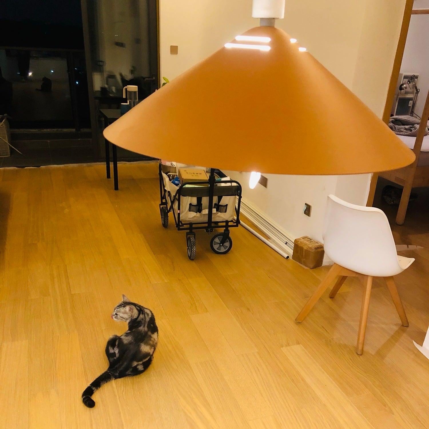 Lengon Hanglamp