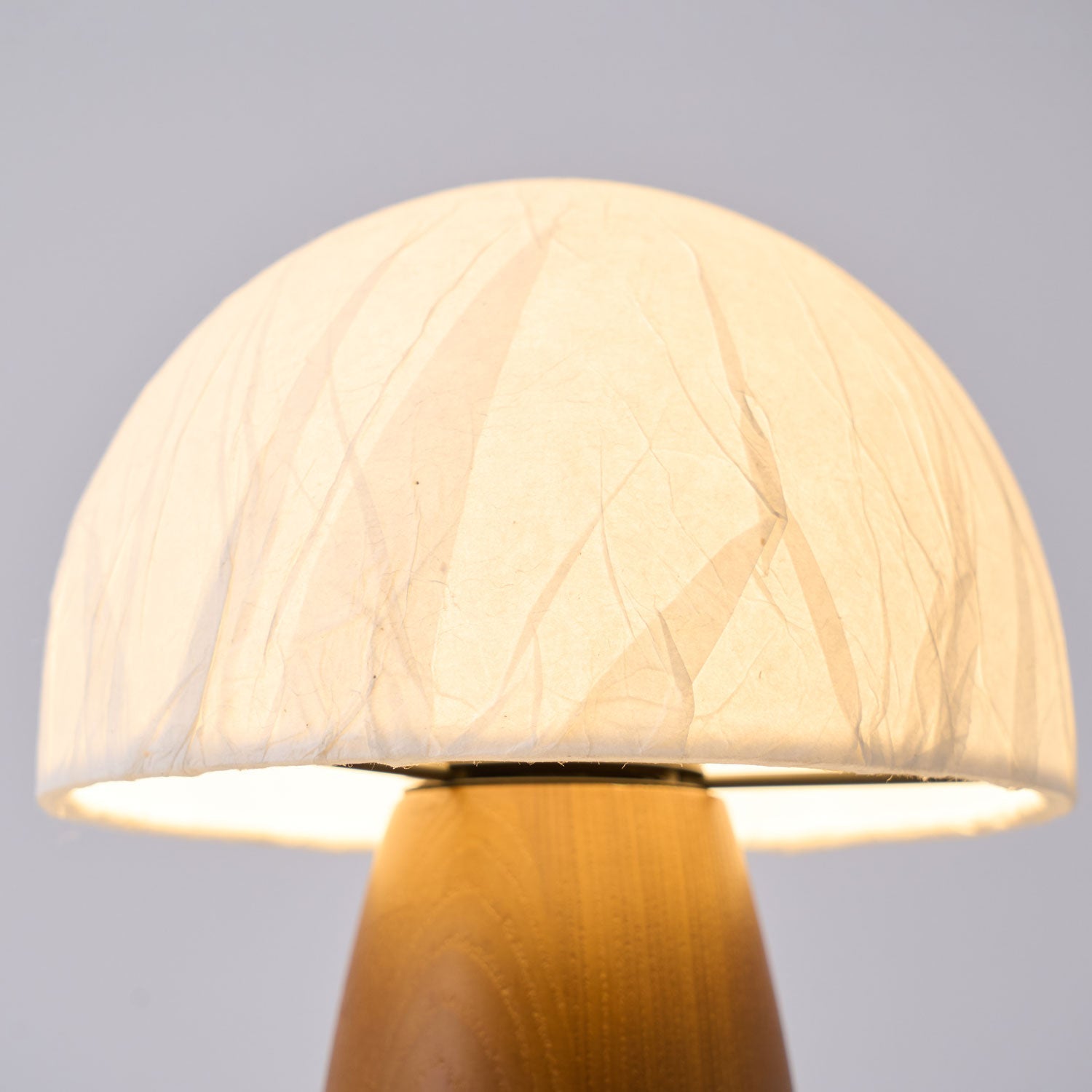 Melsy Mushroom Tafellamp