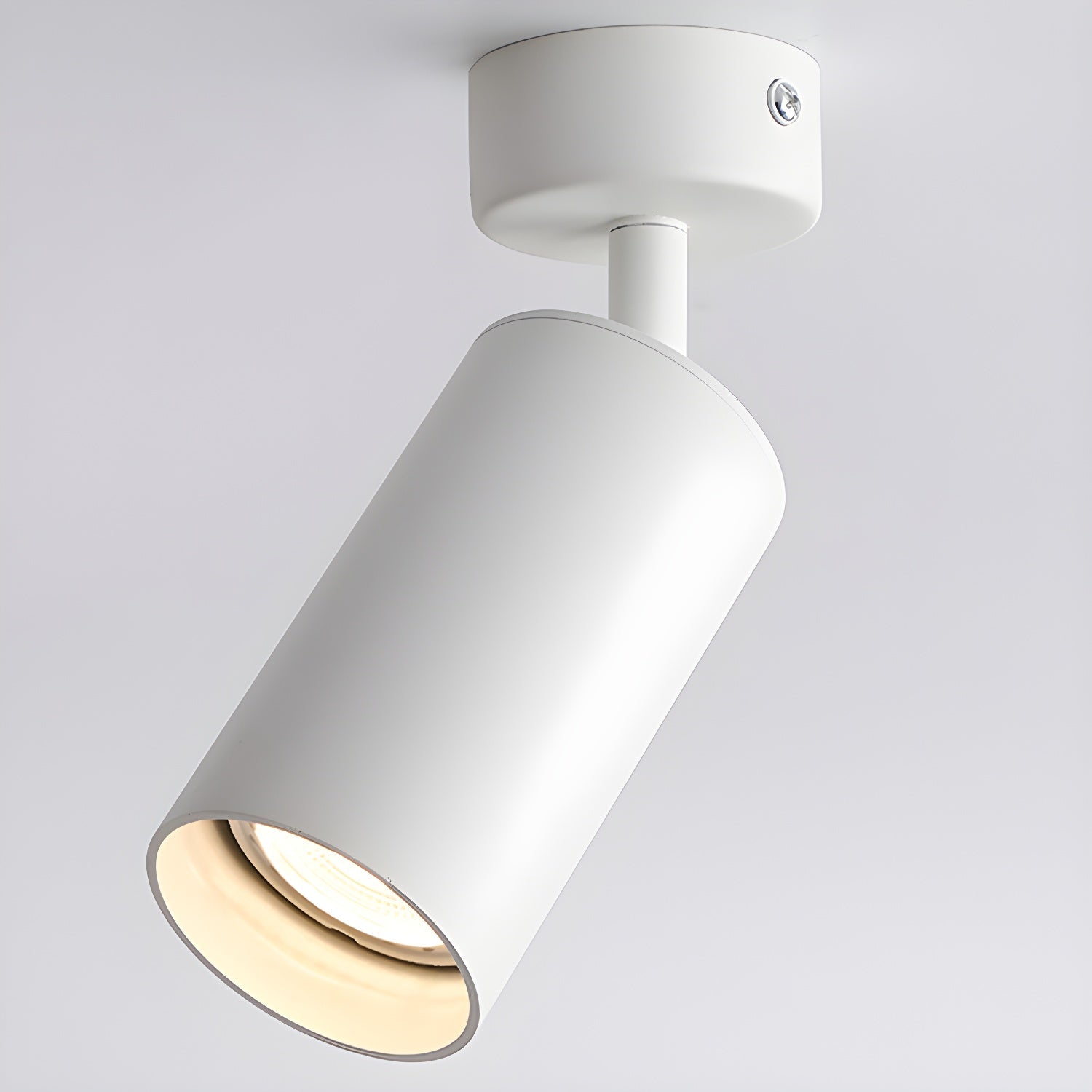 Alzo Spotlight Plafondlamp