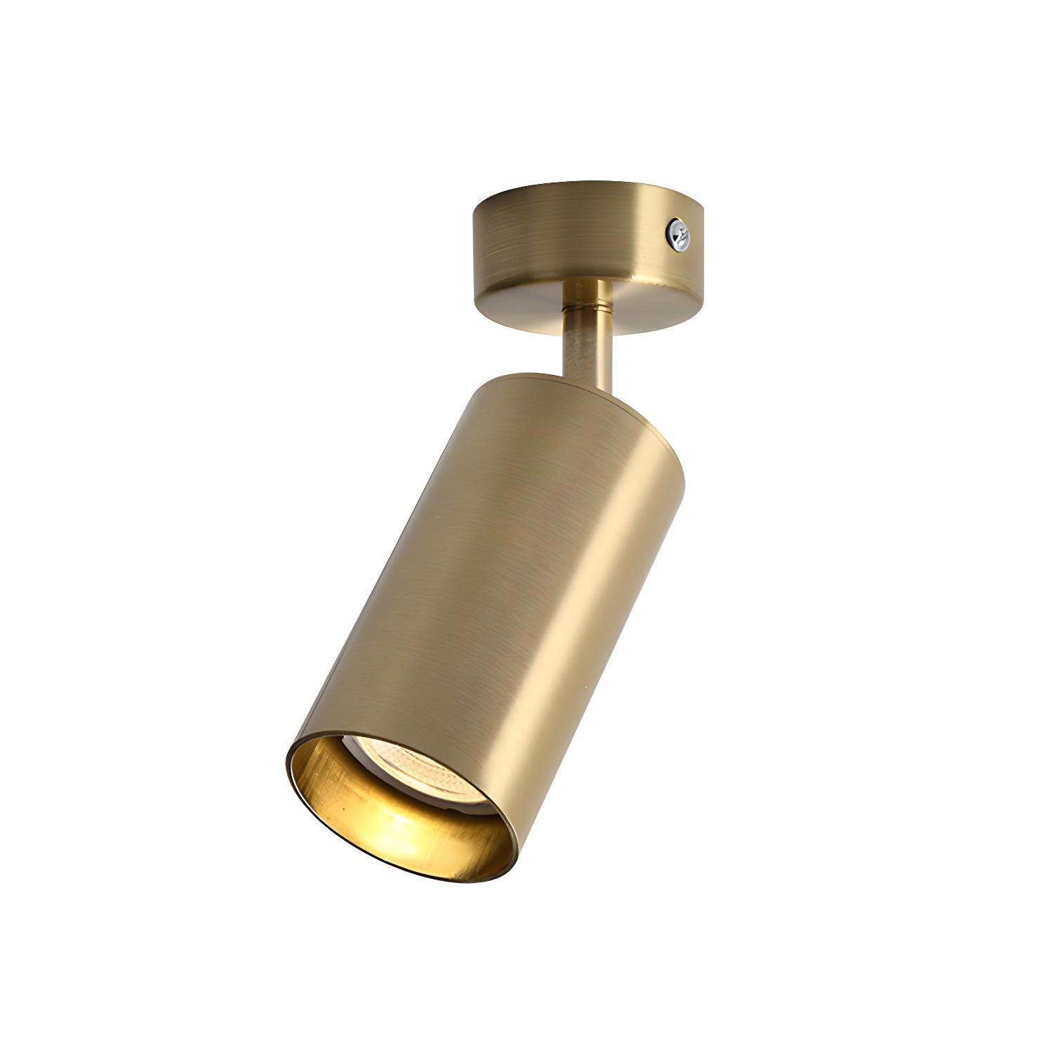 Alzo Spotlight Plafondlamp