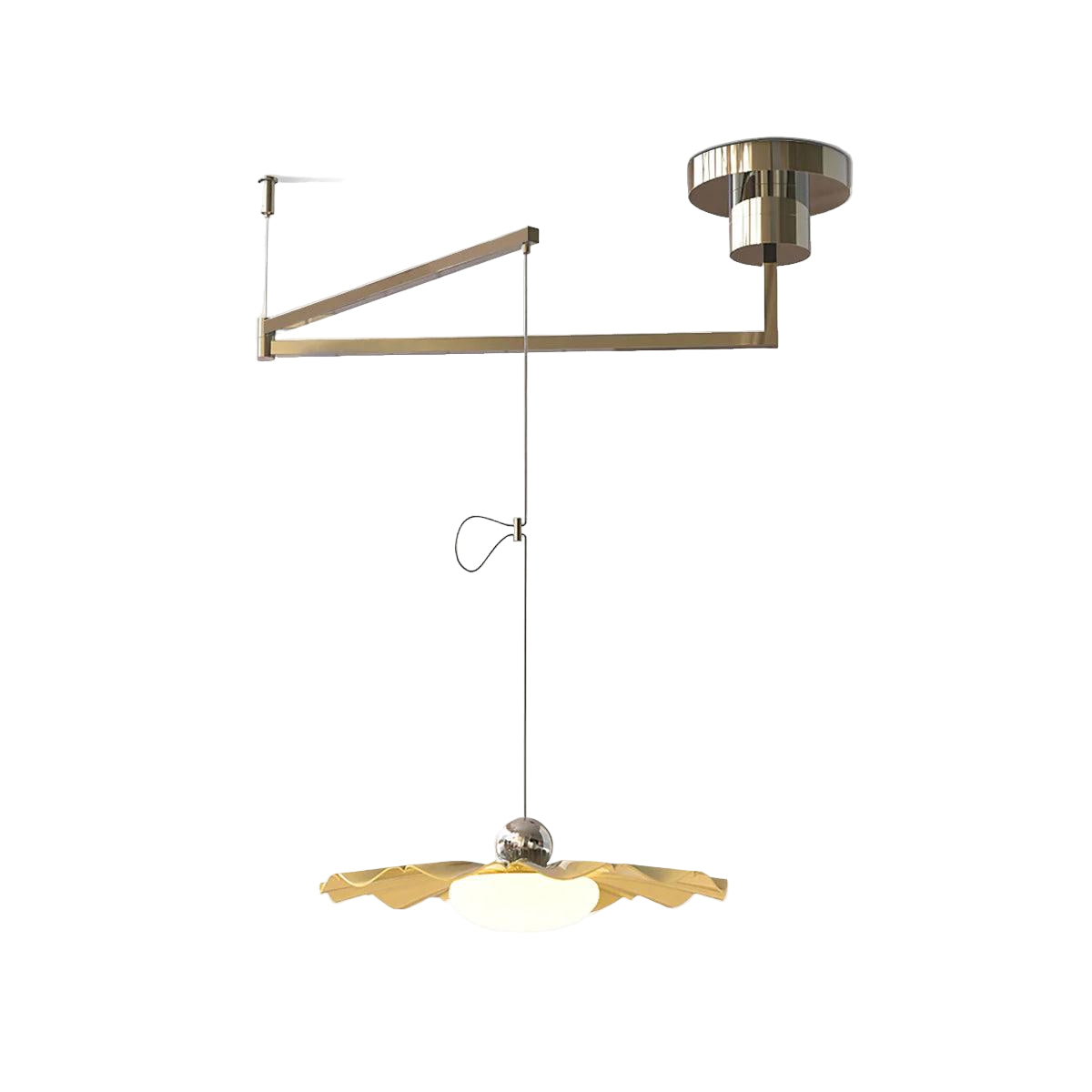 Bloze Flower Swing Arm Hanglamp