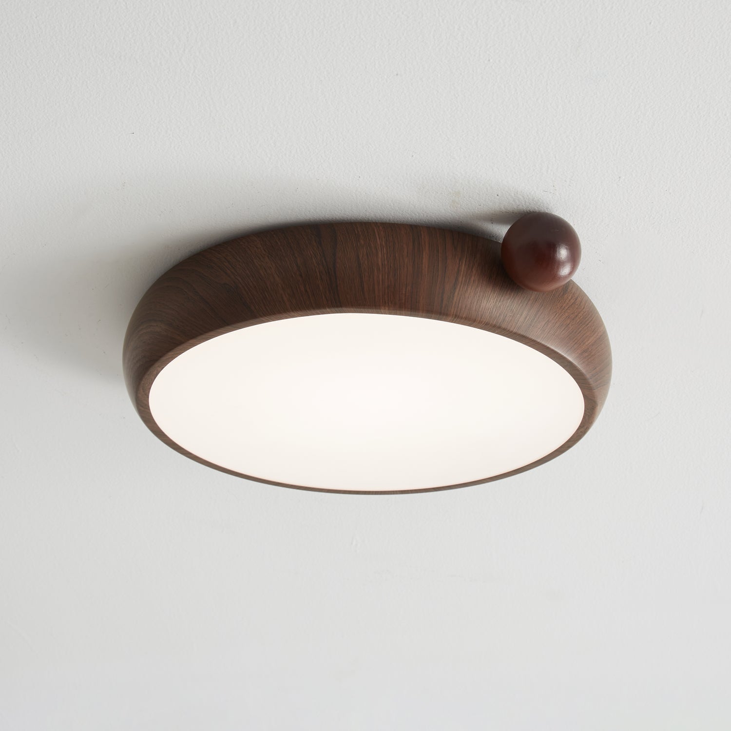 Lecaniva Plafondlamp