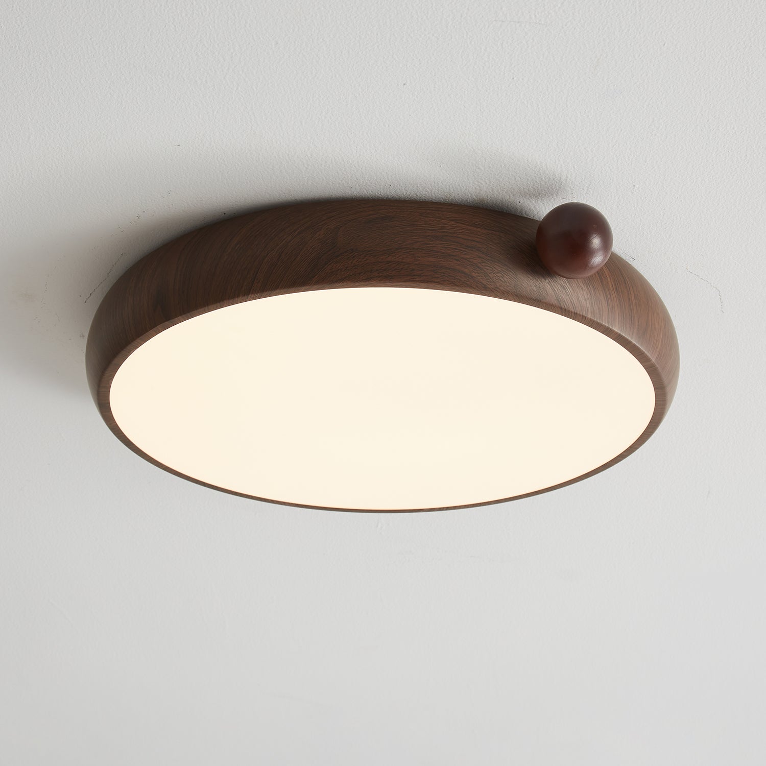 Lecaniva Plafondlamp