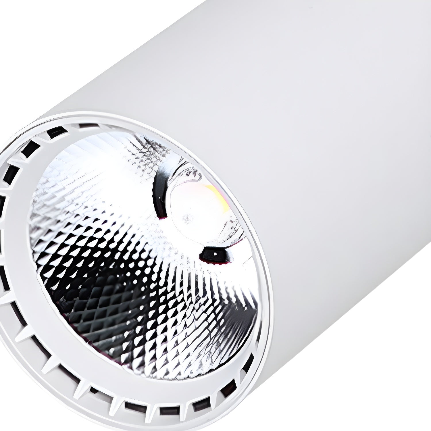Domes Plafondlamp