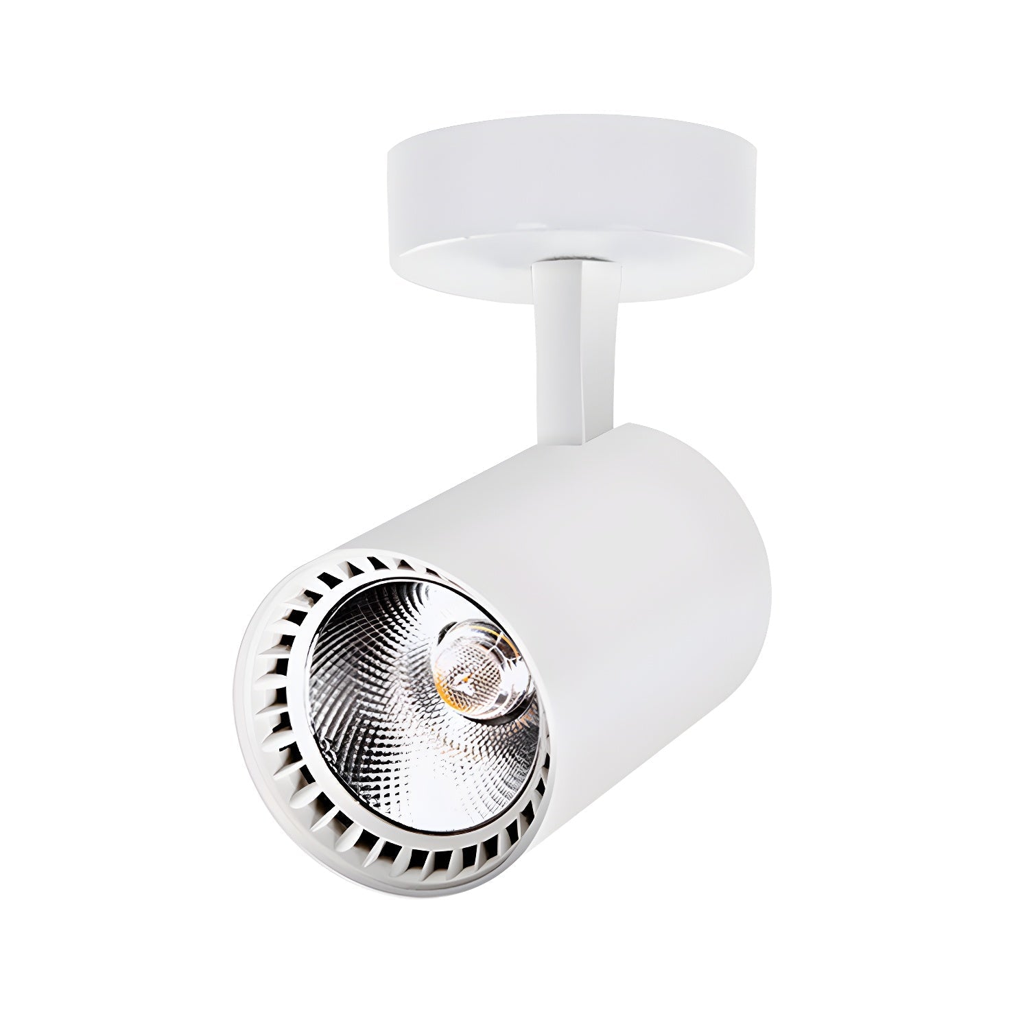 Domes Plafondlamp