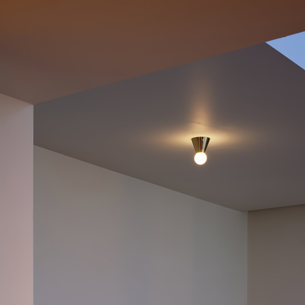 Monic Plafondlamp