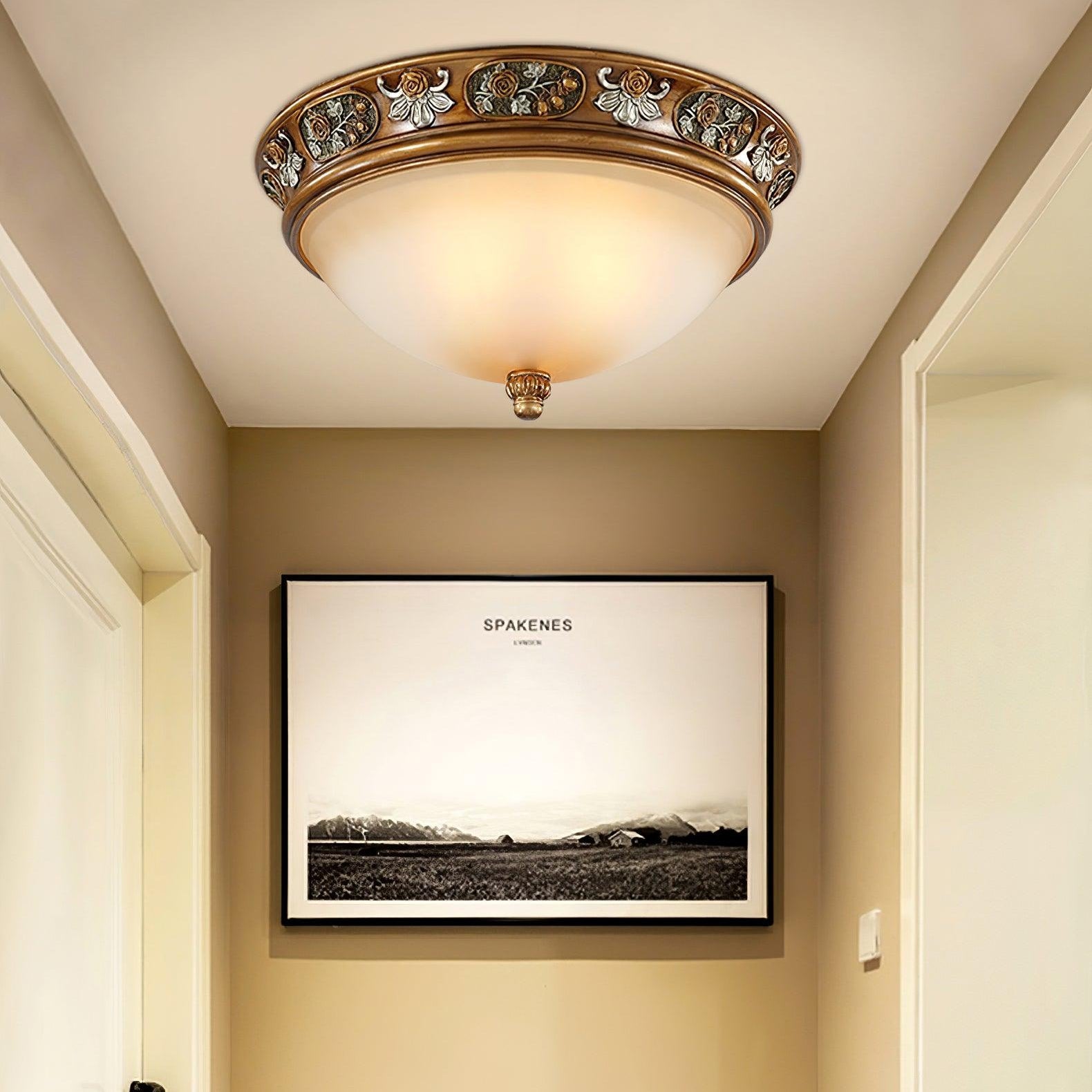 Dolienta Plafondlamp