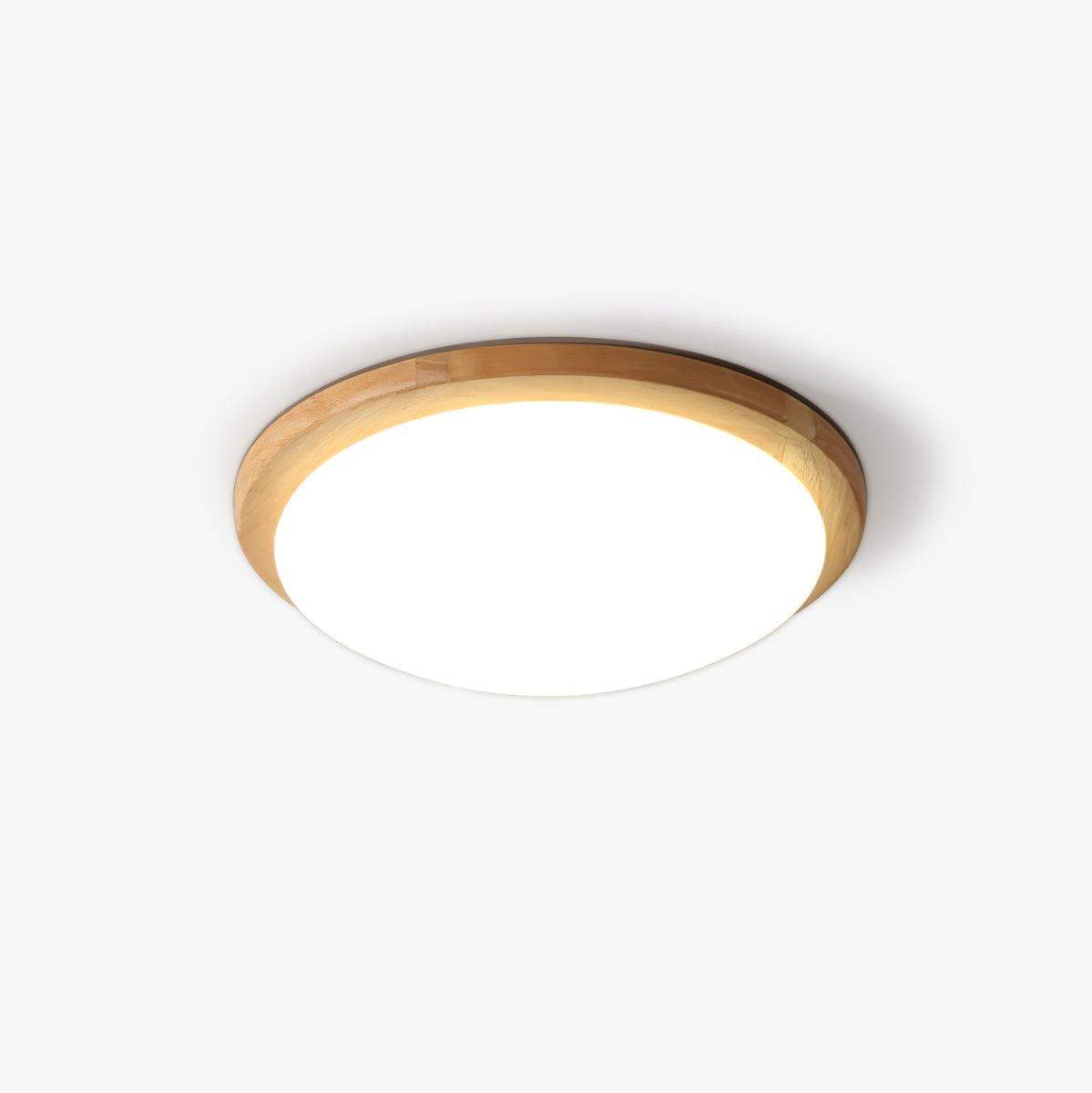 Domesc Plafondlamp