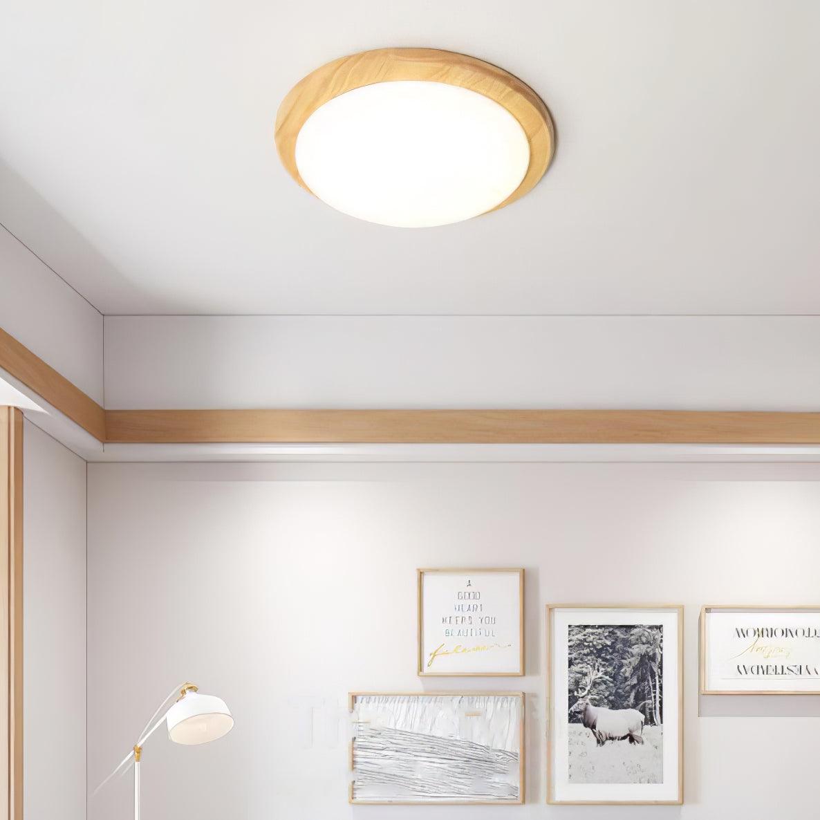Domesc Plafondlamp