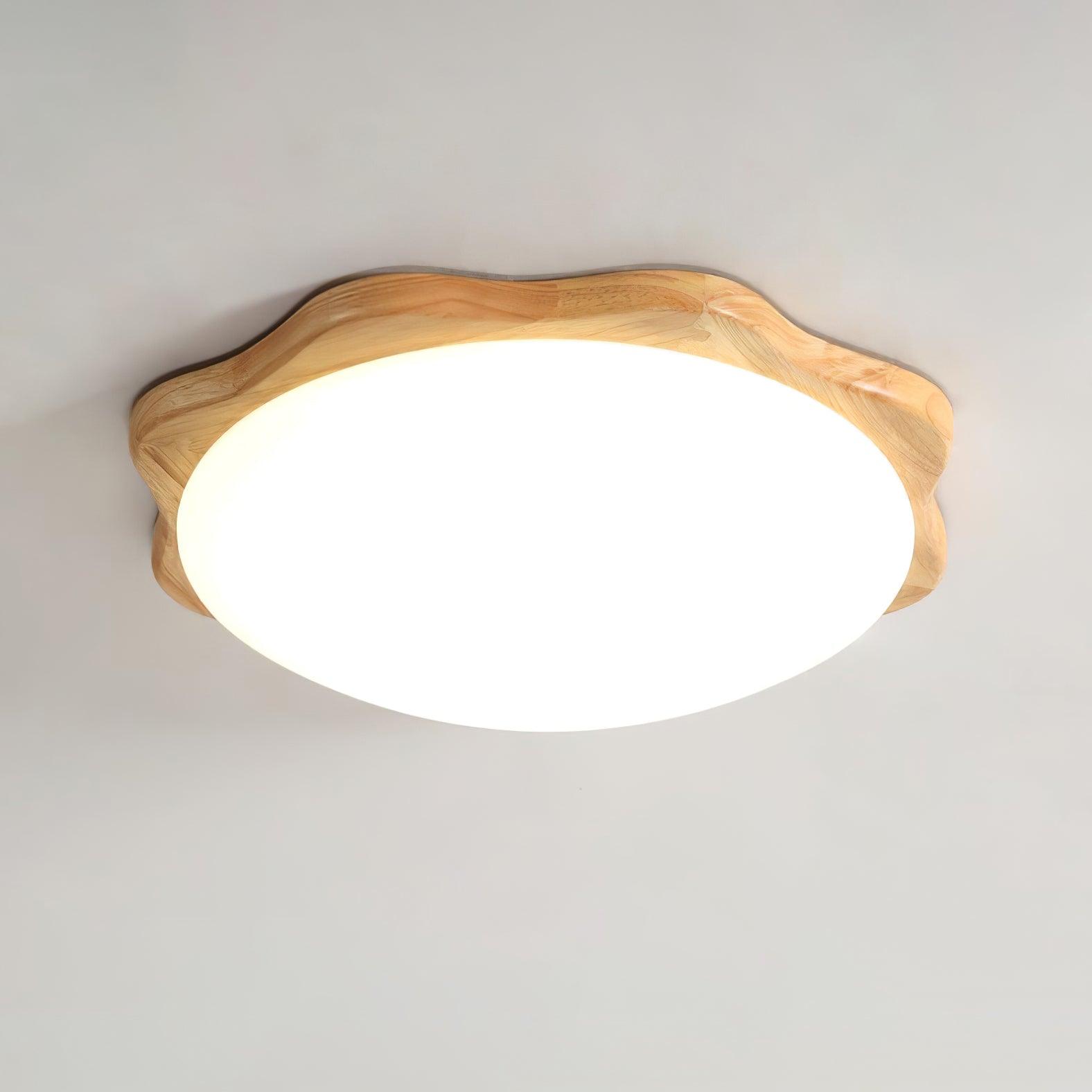 Domesc Plafondlamp