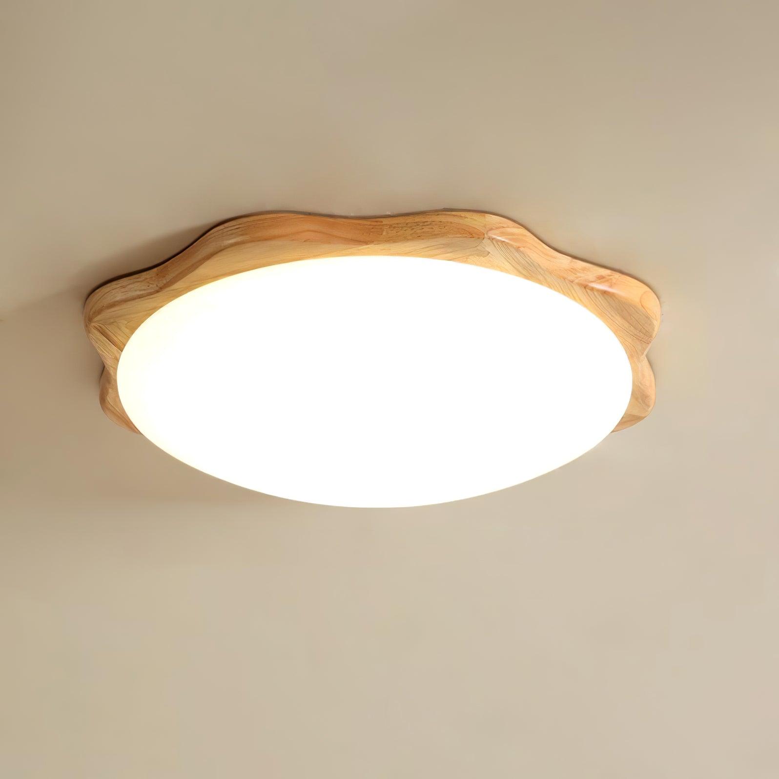 Domesc Plafondlamp