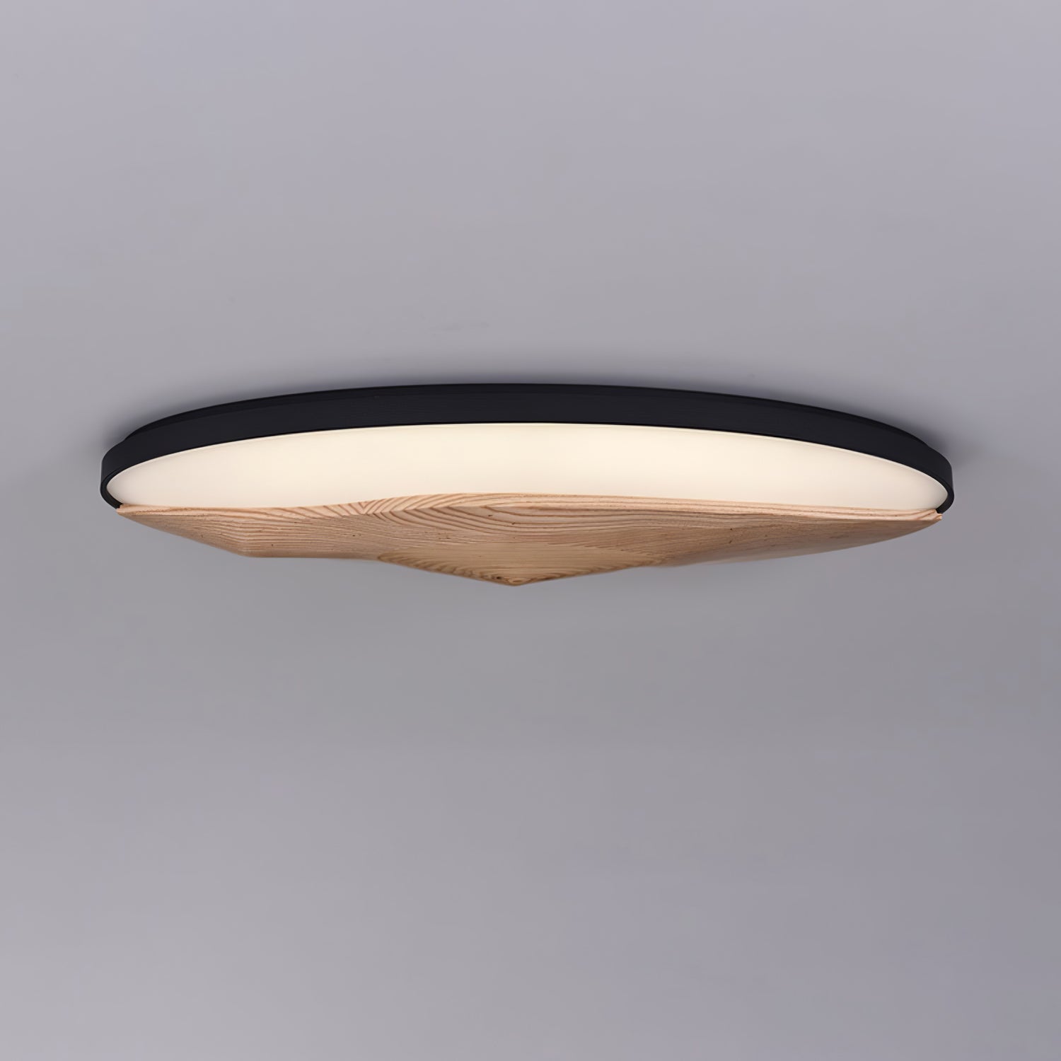 Geo Landscape Planfondlamp