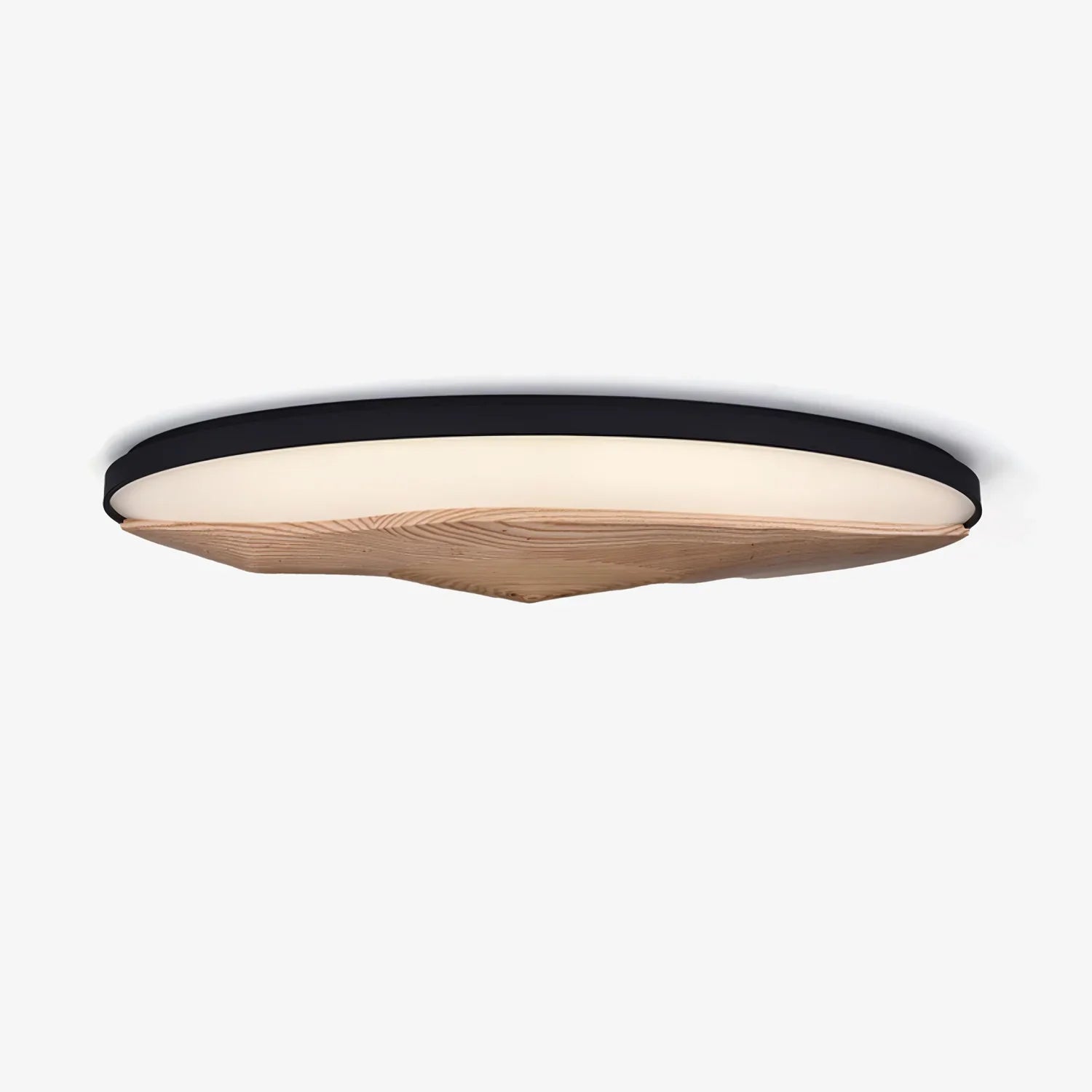 Geo Landscape Planfondlamp