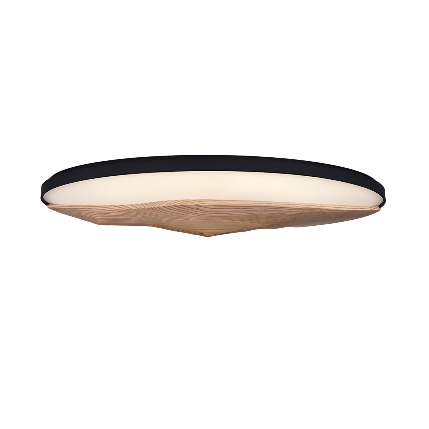 Geo Landscape Planfondlamp