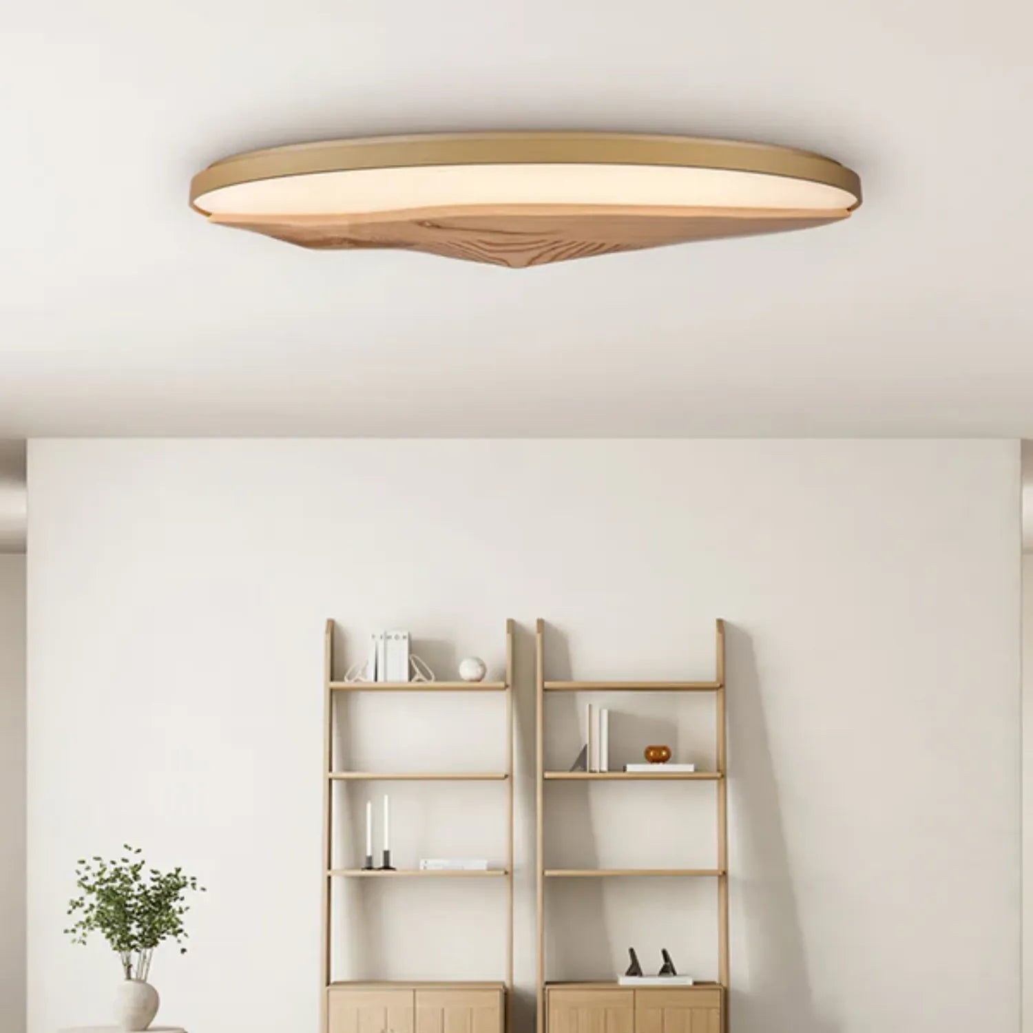 Geo Landscape Planfondlamp
