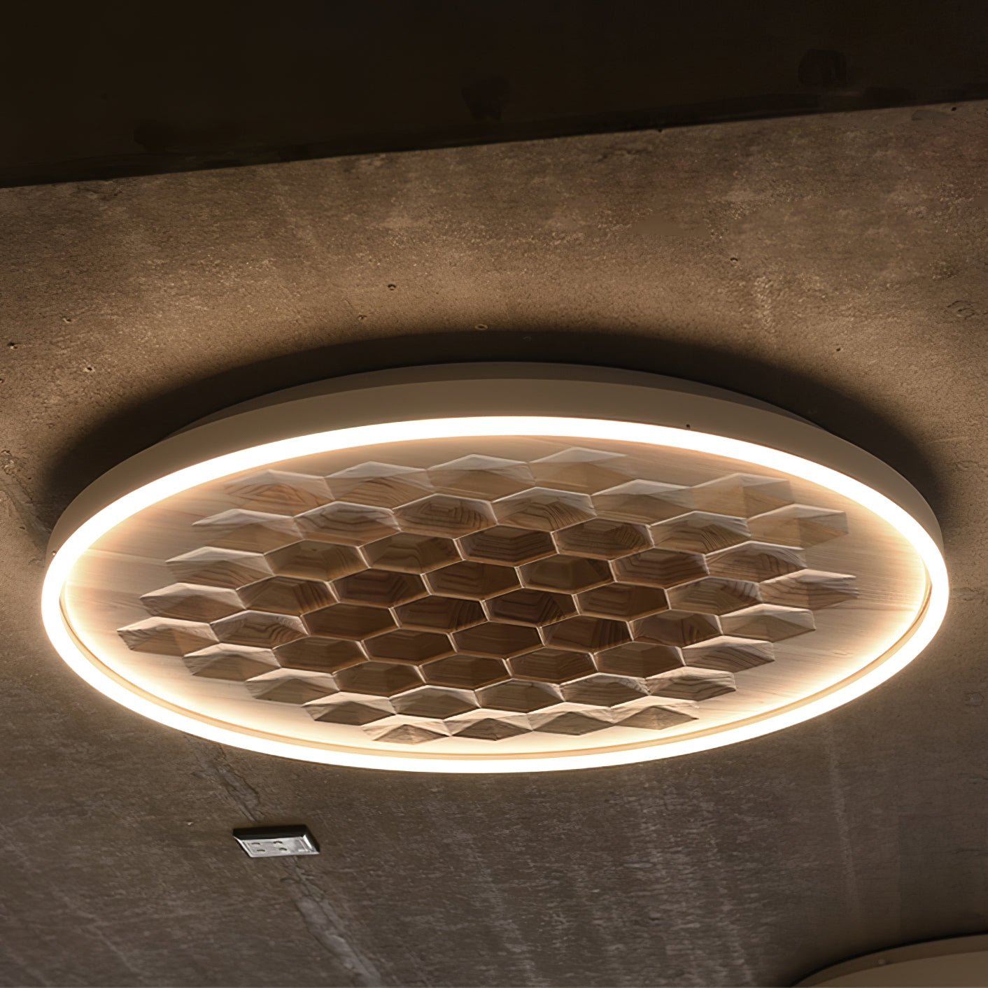 Heroza Plafondlamp