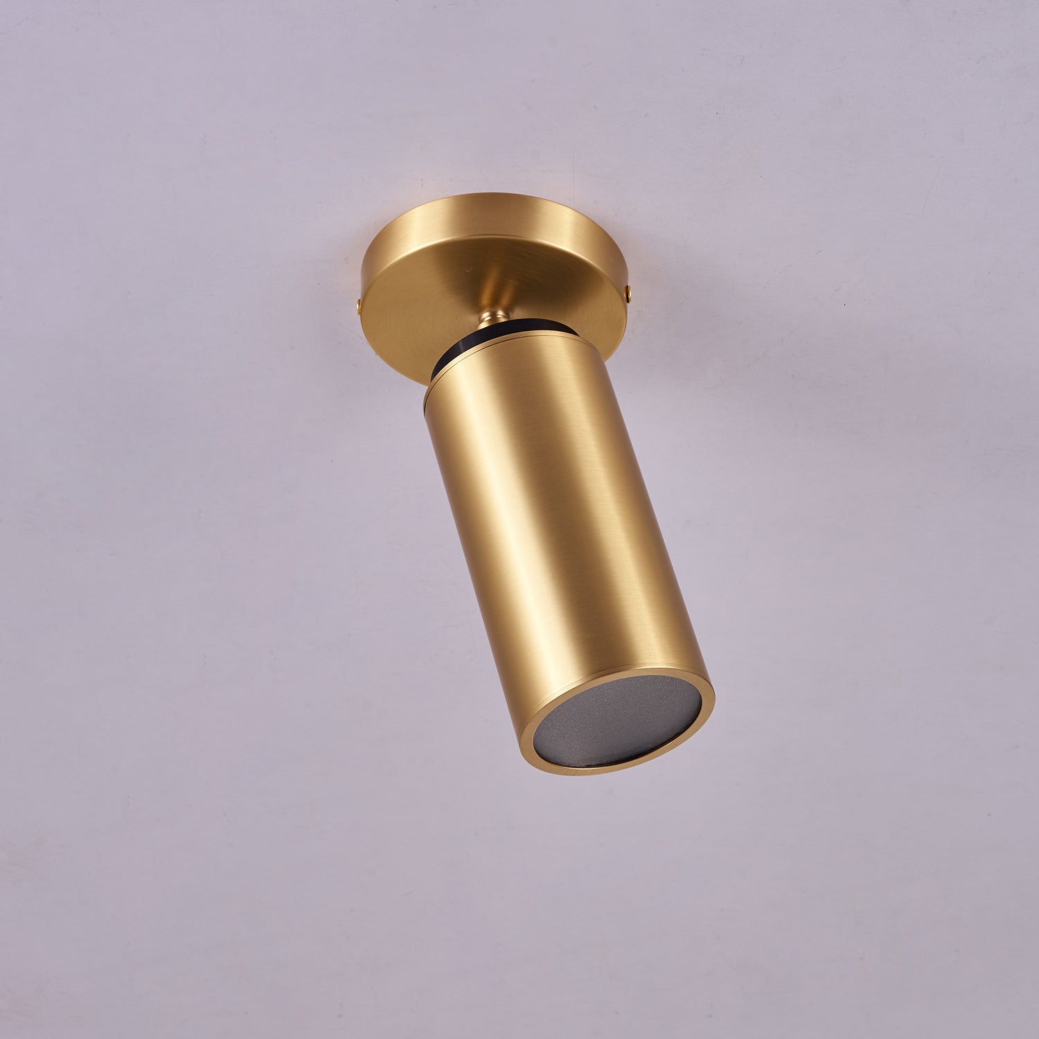 Bolizo Plafondlamp