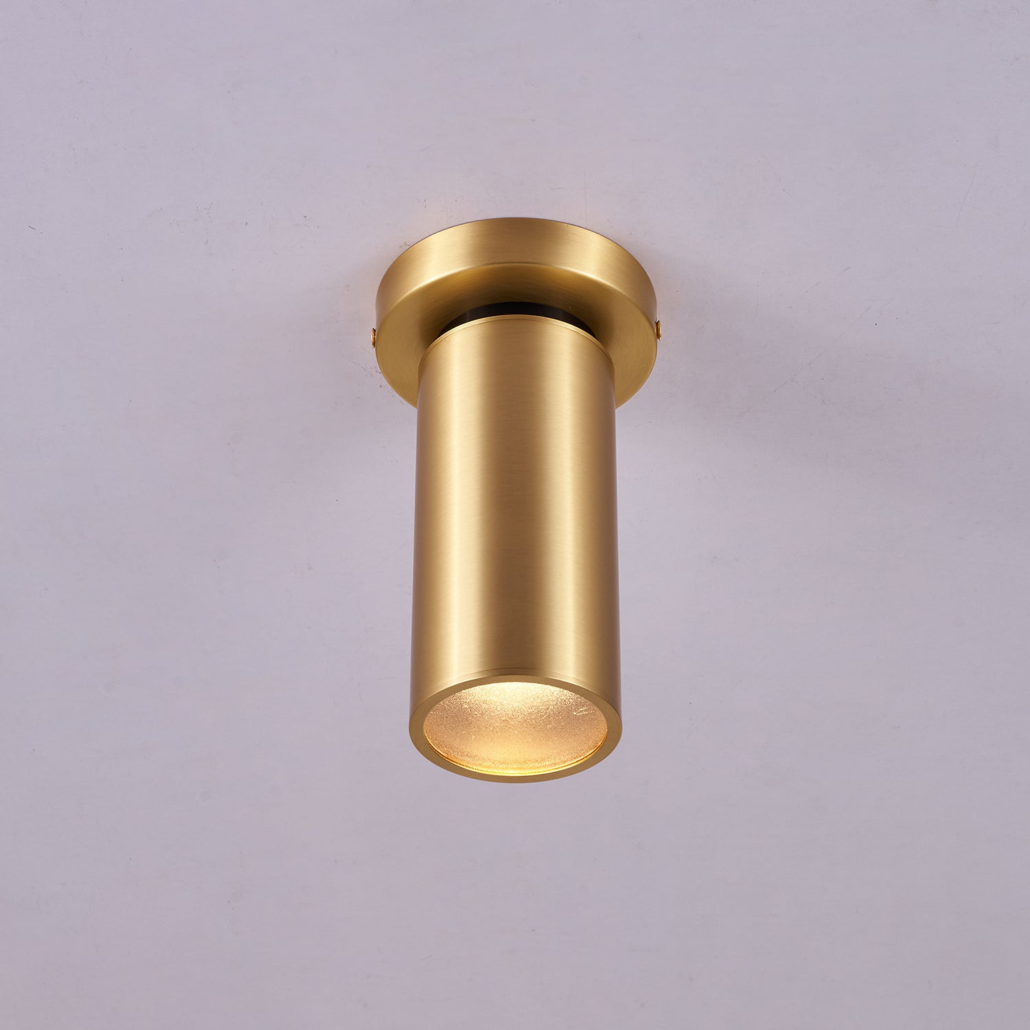 Bolizo Plafondlamp
