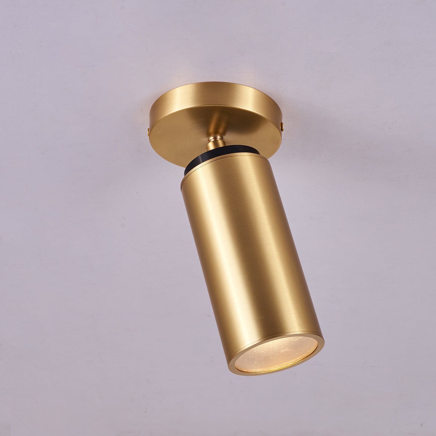 Bolizo Plafondlamp