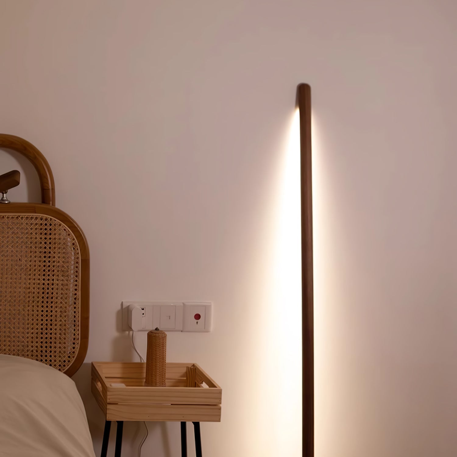 Muur Assist Vloerlamp