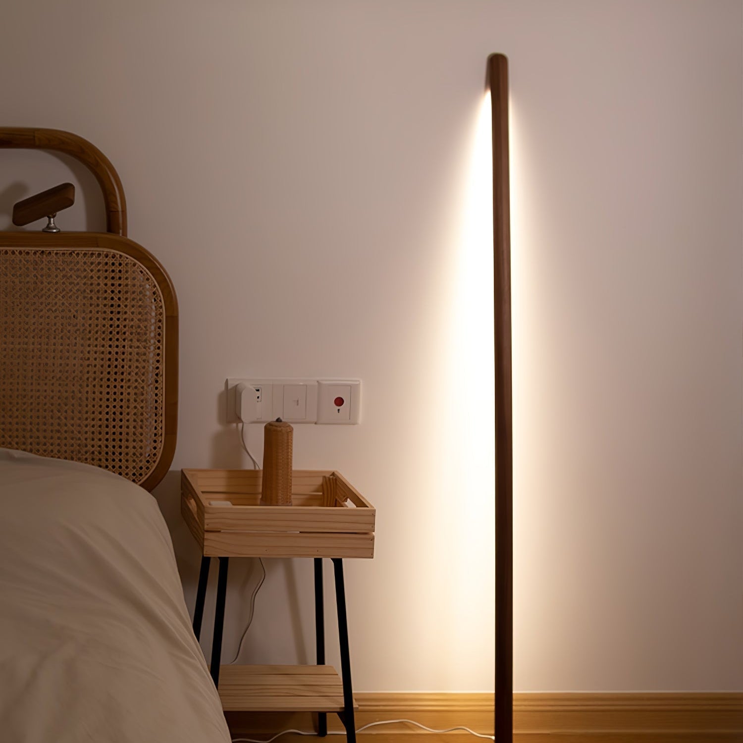 Muur Assist Vloerlamp