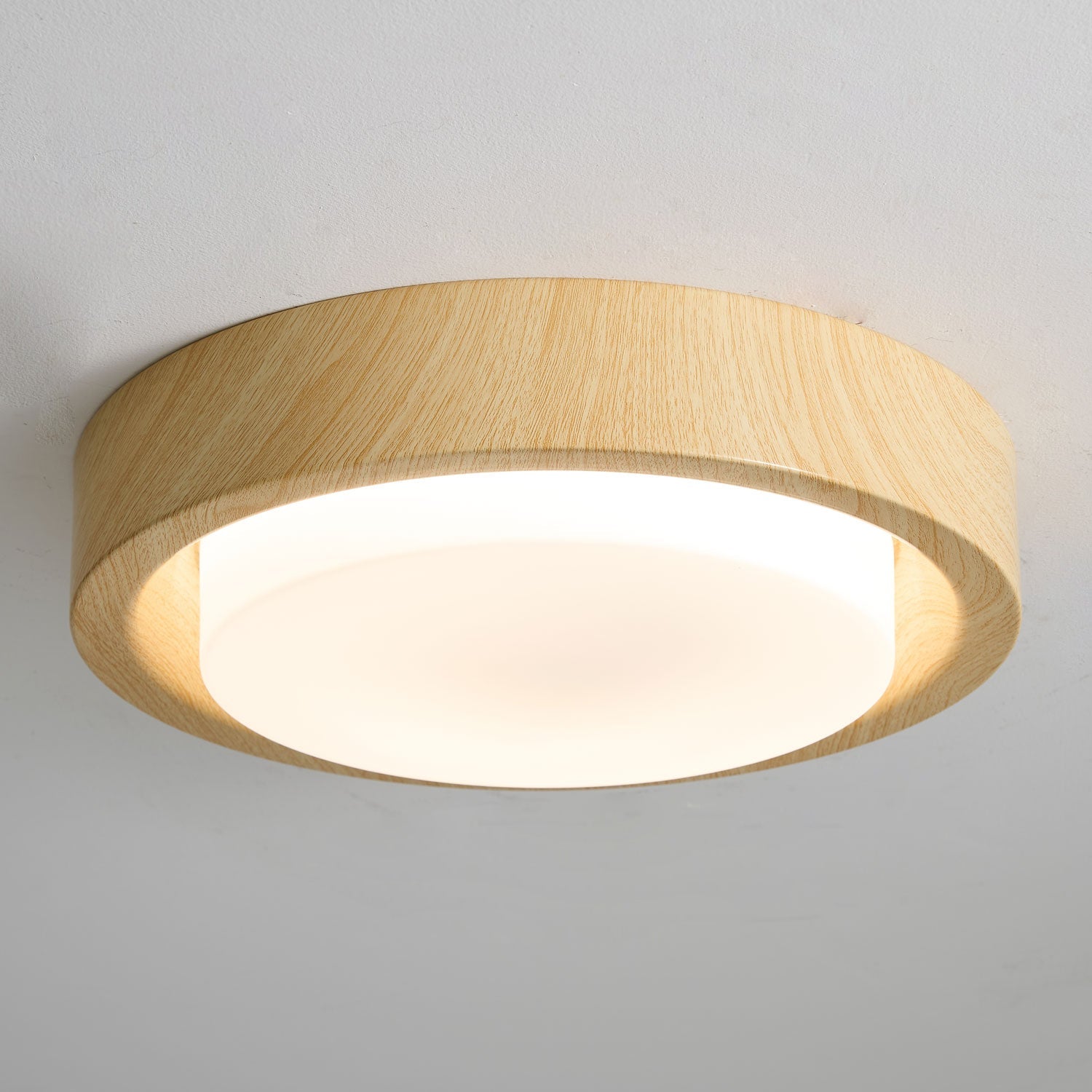 Lumza Ringvorm Plafondlamp
