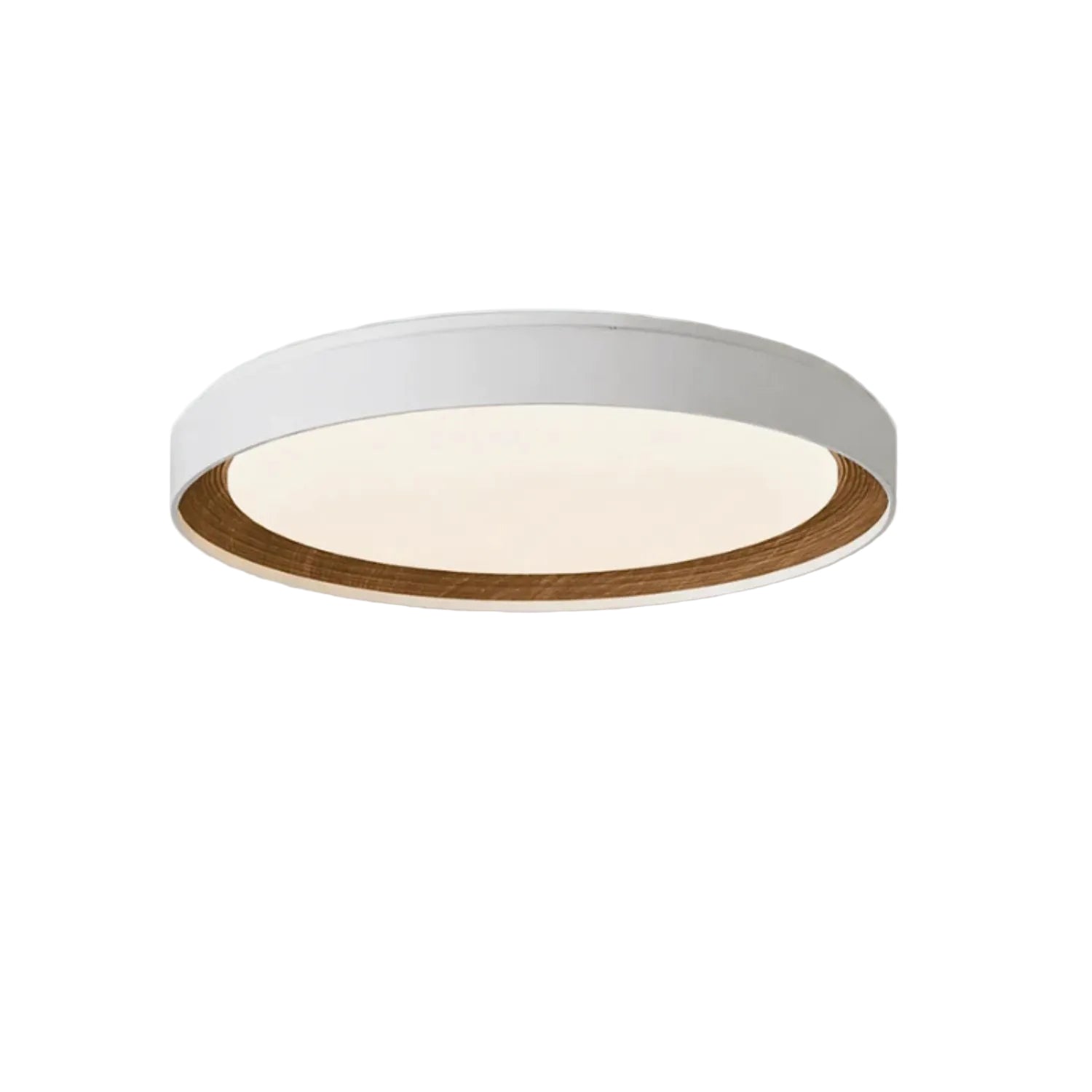 Arto Disc Plafondlamp