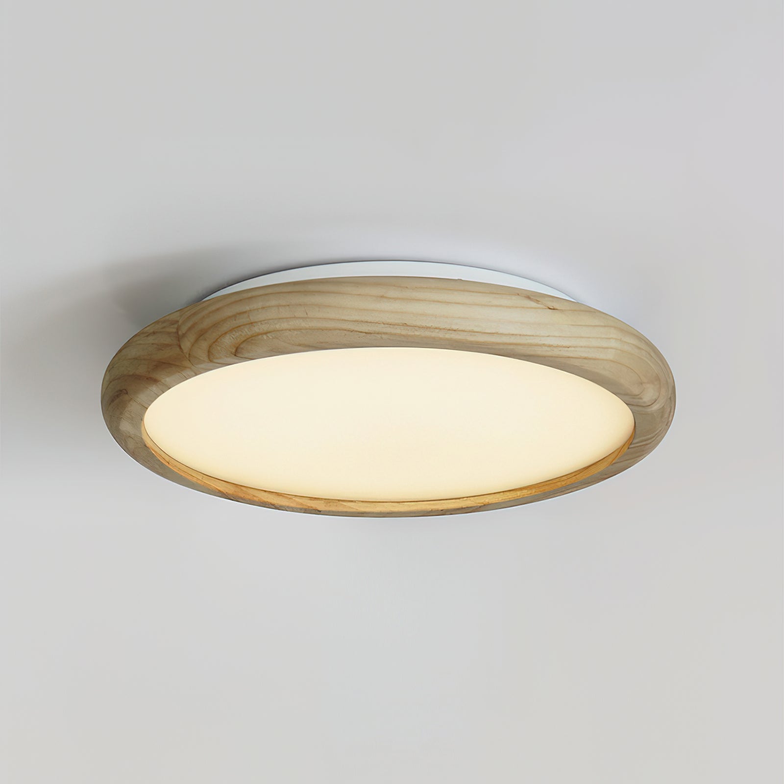 Neltusa Japandi Stijl Plafondlamp