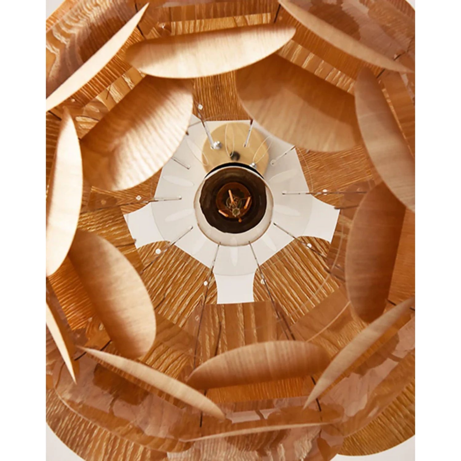 Pelacone Hanglamp