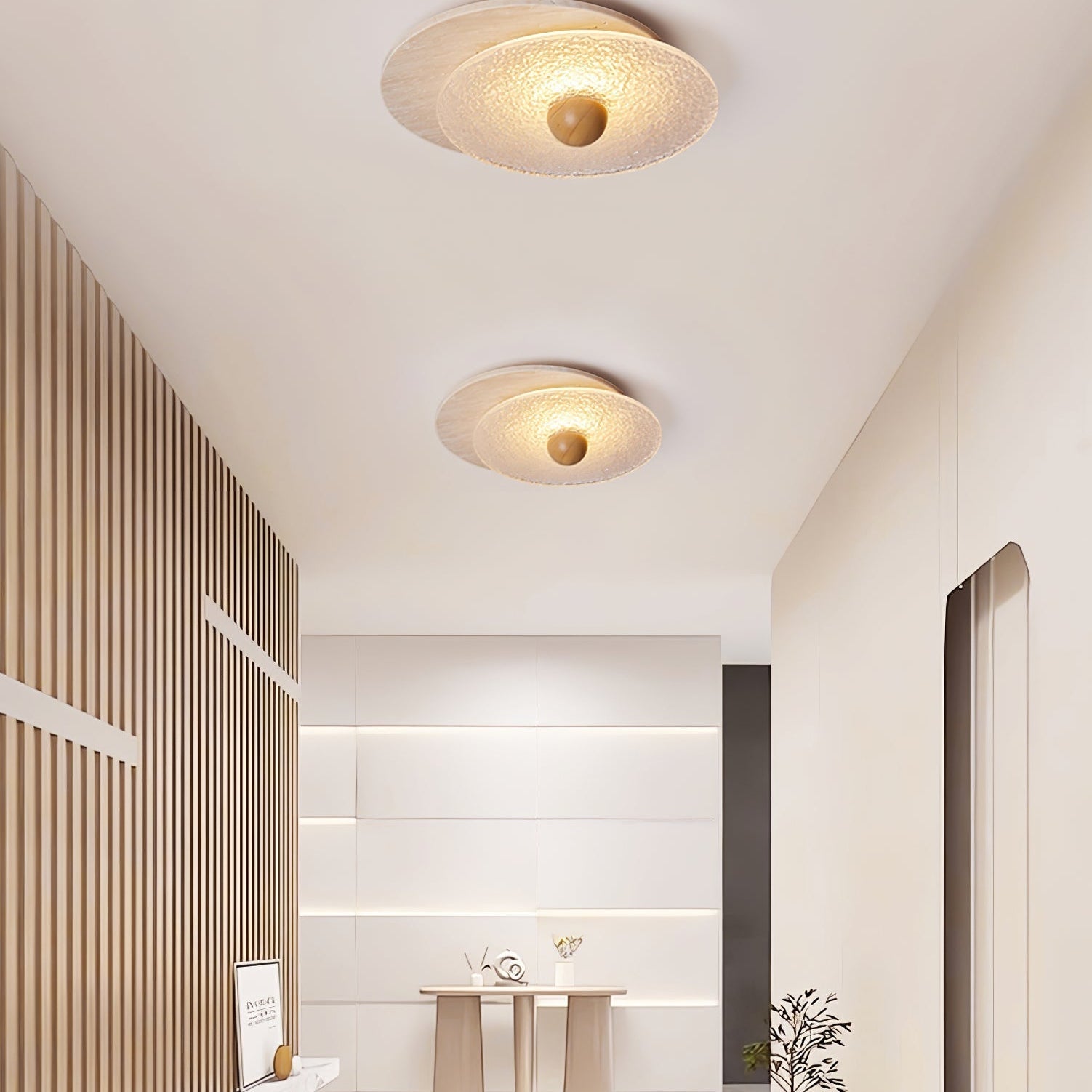 Radiza Dubbele Disc Plafondlamp