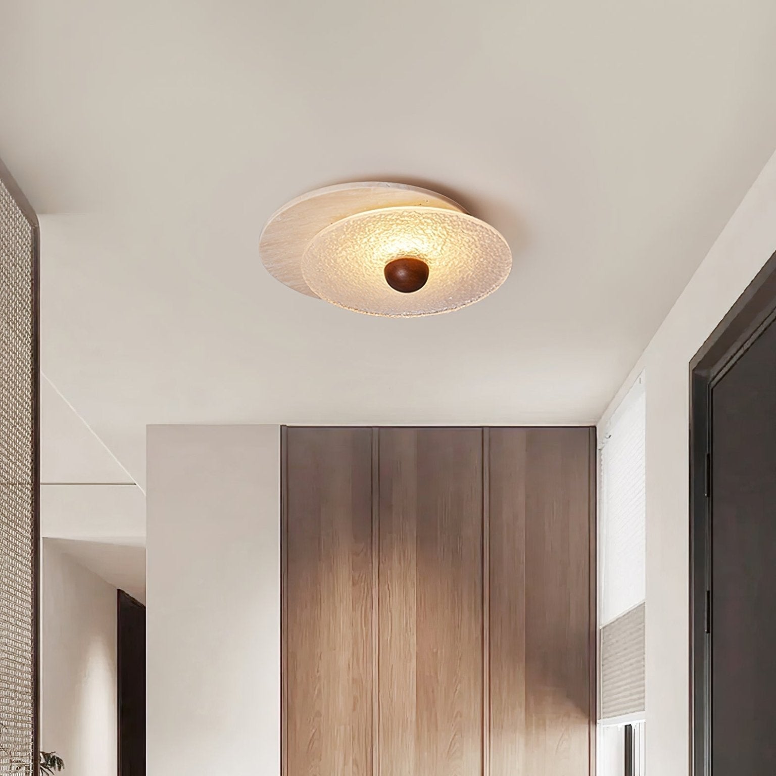 Radiza Dubbele Disc Plafondlamp