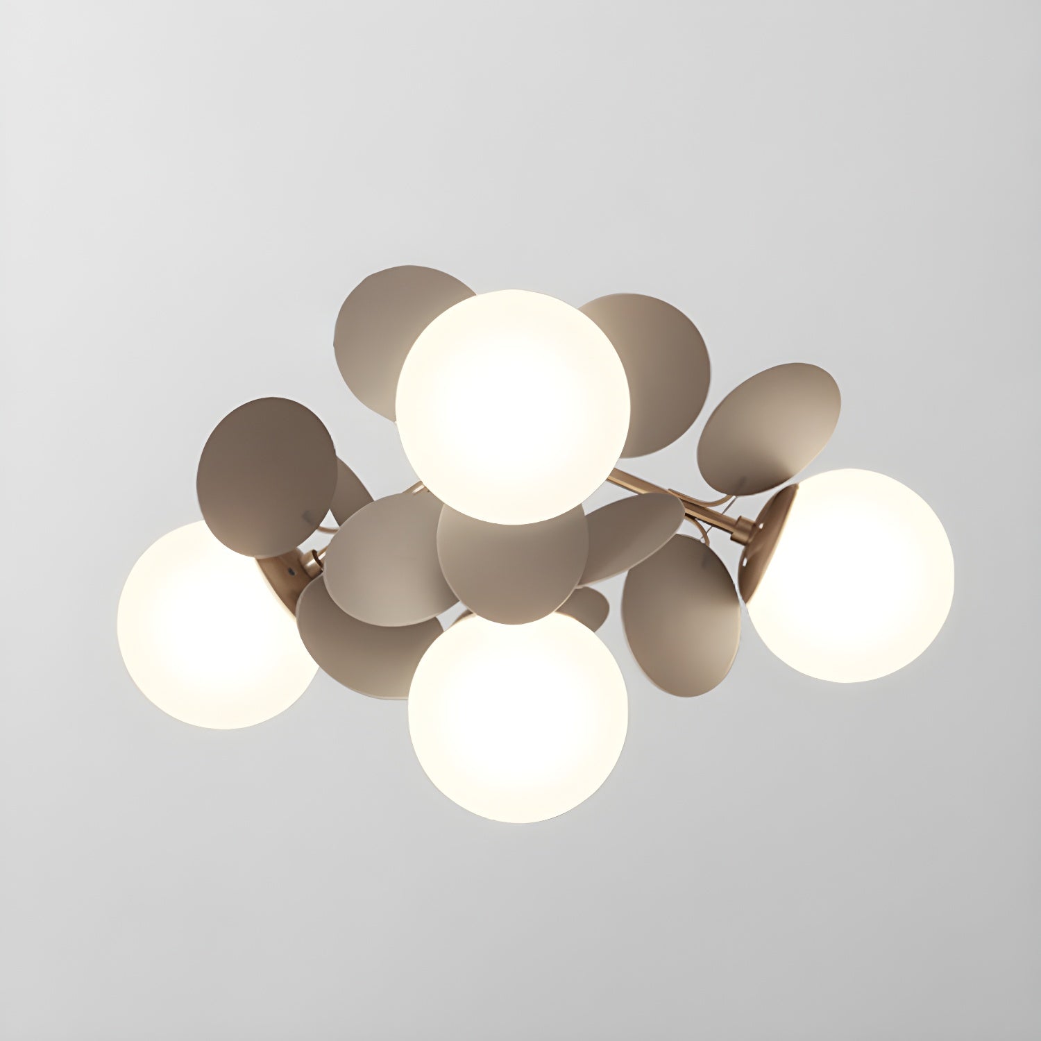 Rojisa Plafondlamp