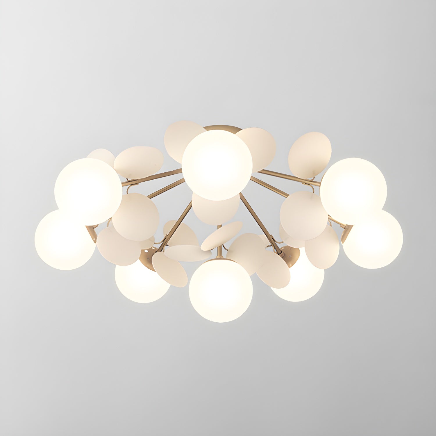 Rojisa Plafondlamp