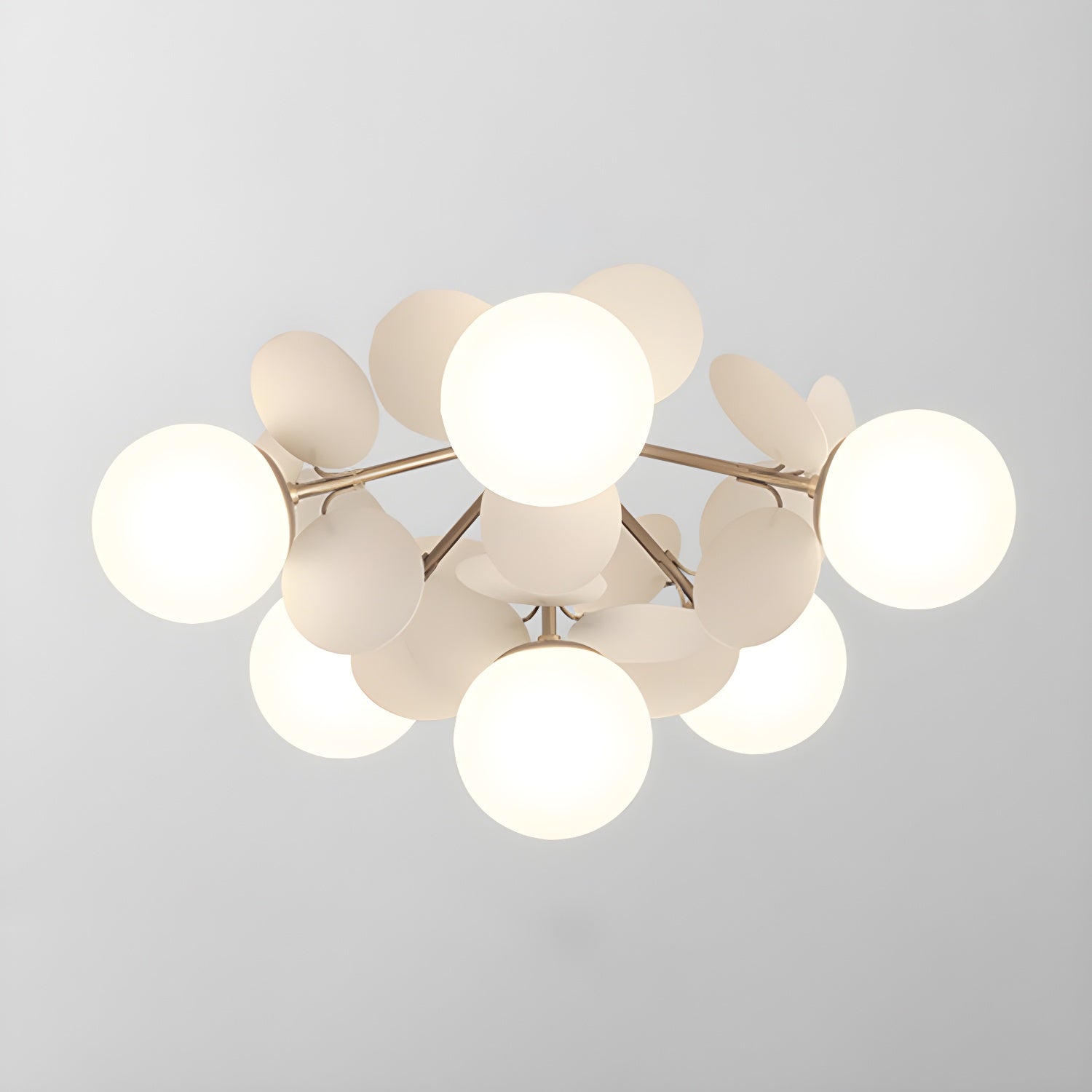 Rojisa Plafondlamp
