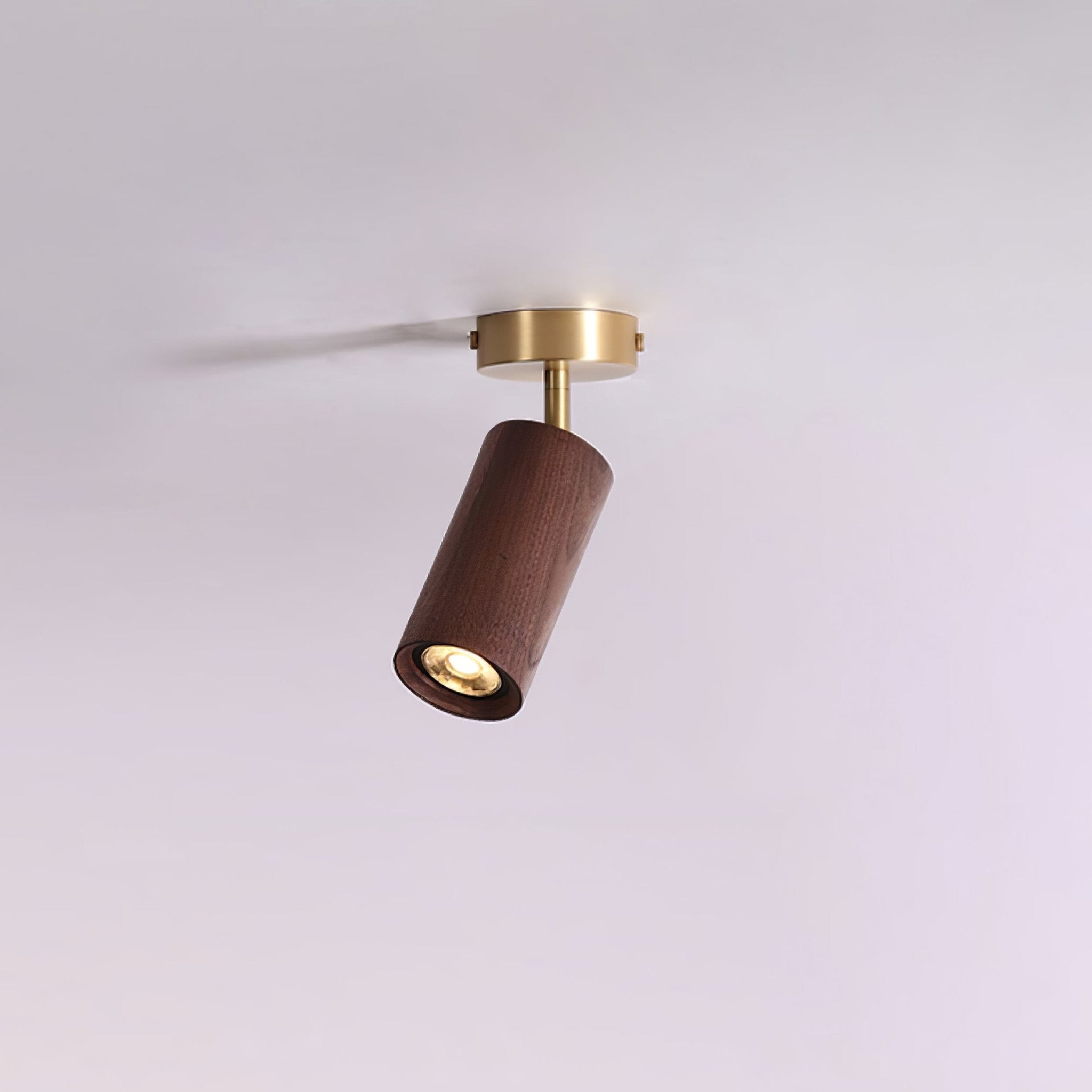 Romezan Plafondlamp