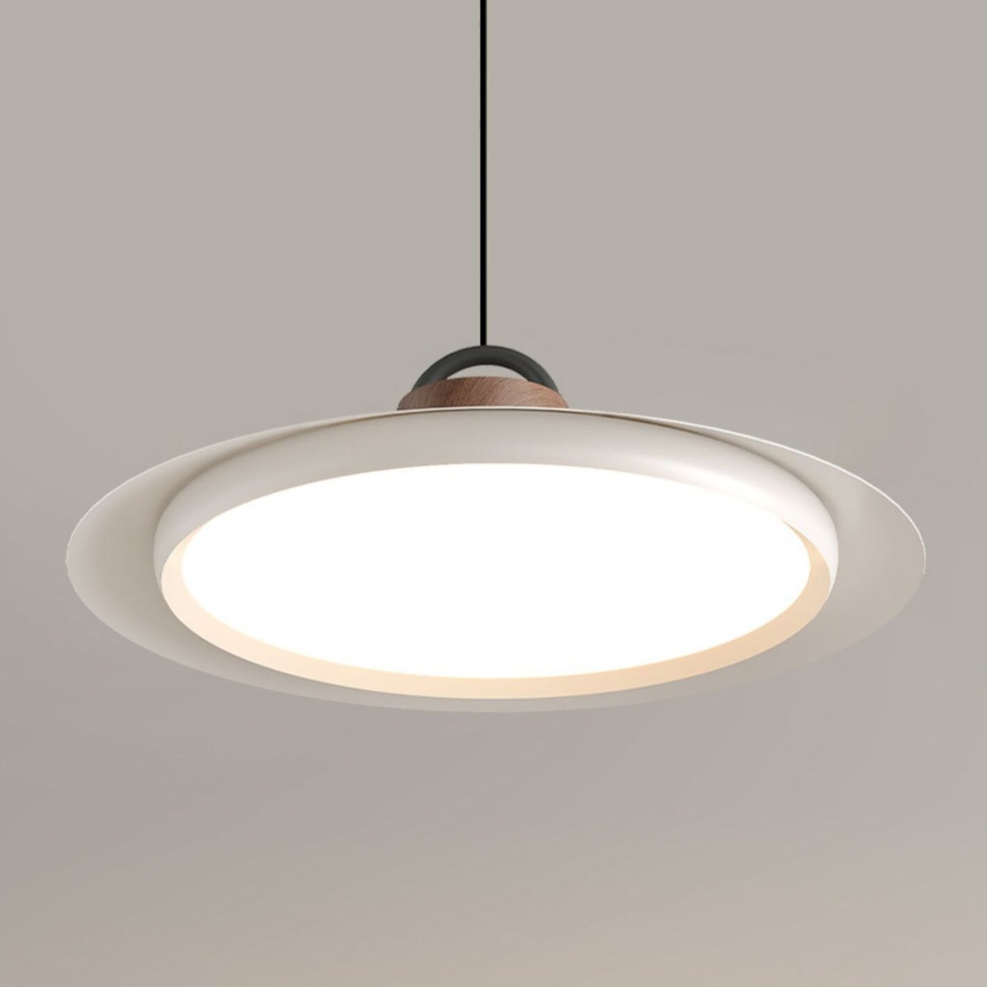 Ruilifo Hanglamp