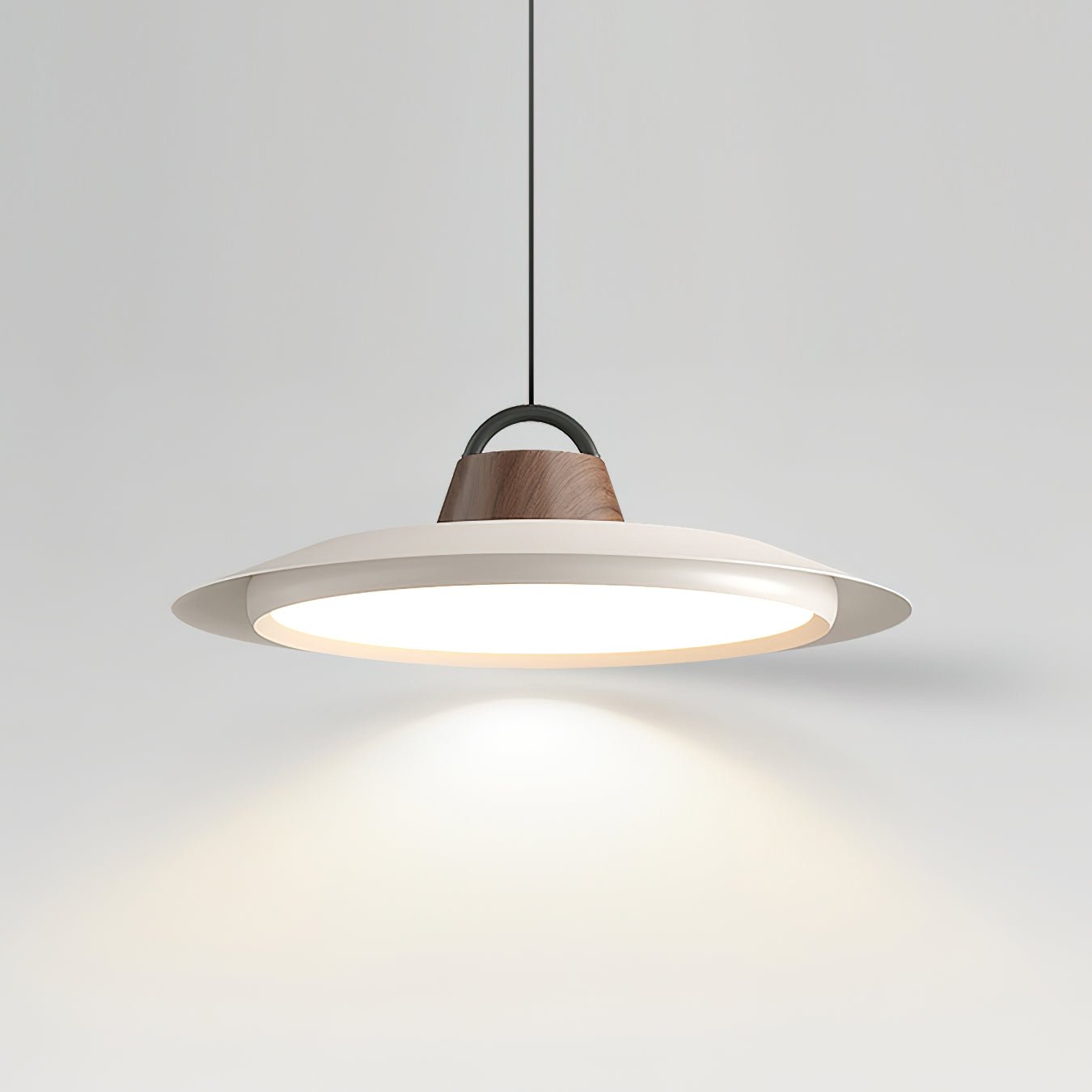 Ruilifo Hanglamp