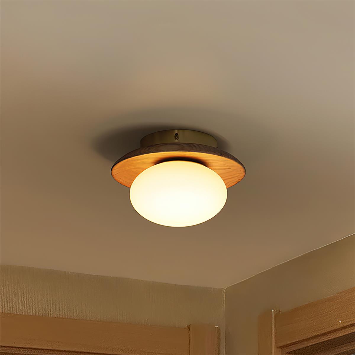 Mirezah Plafondlamp