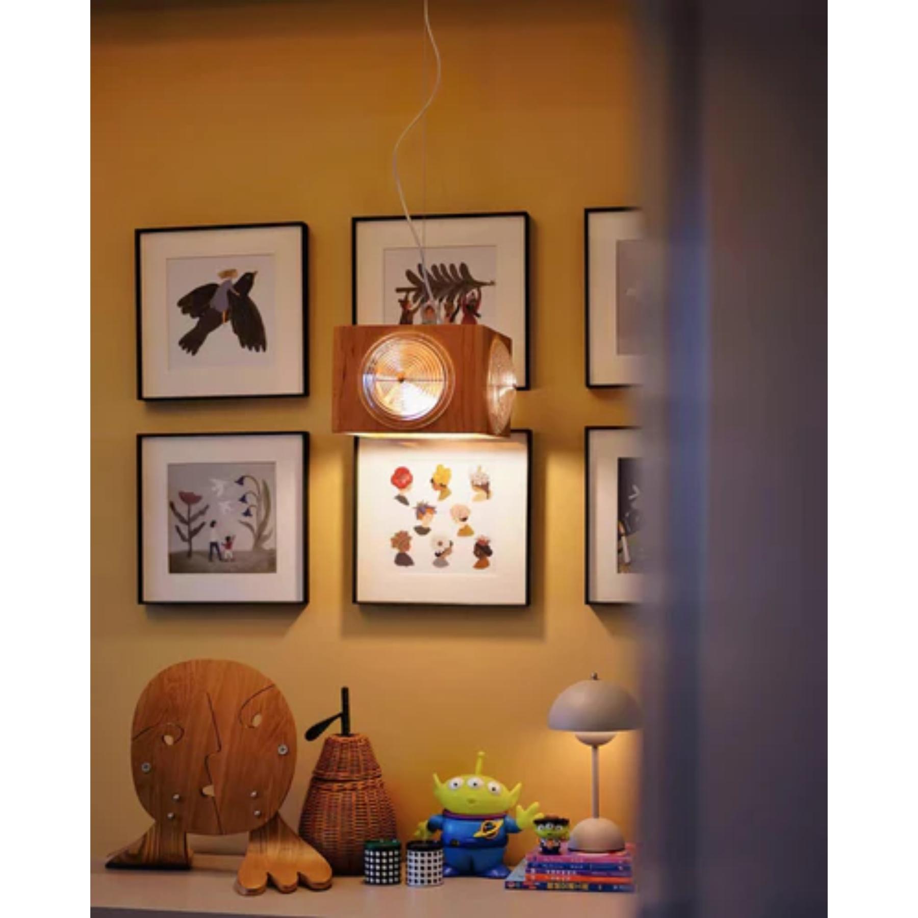 Houten Vintage Camera Hanglamp