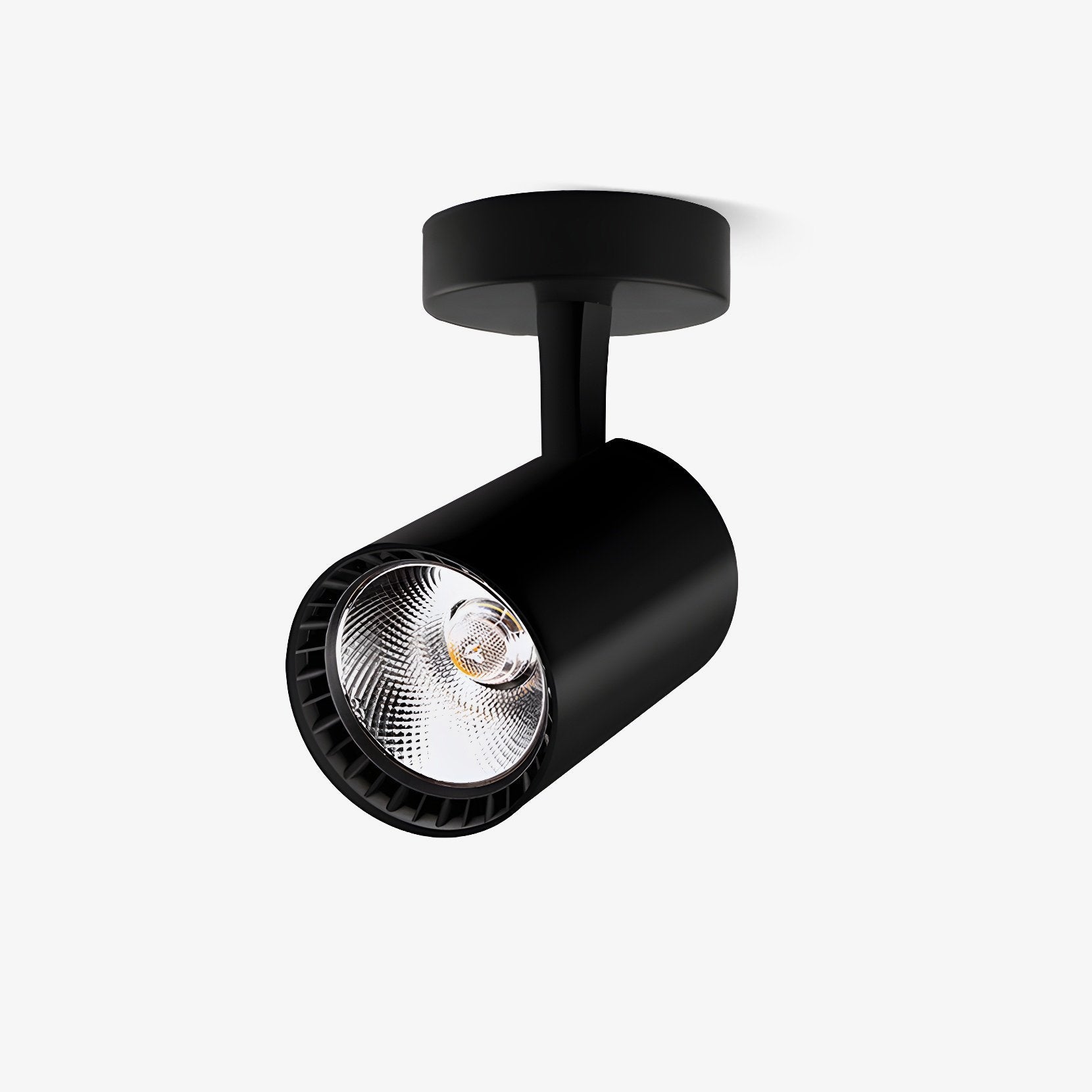 Domes Plafondlamp