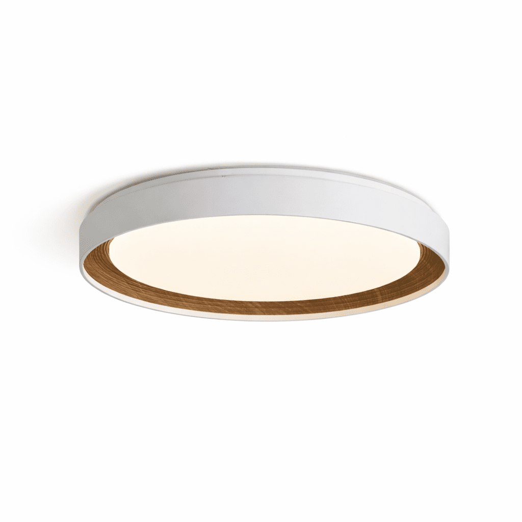 Arto Disc Plafondlamp