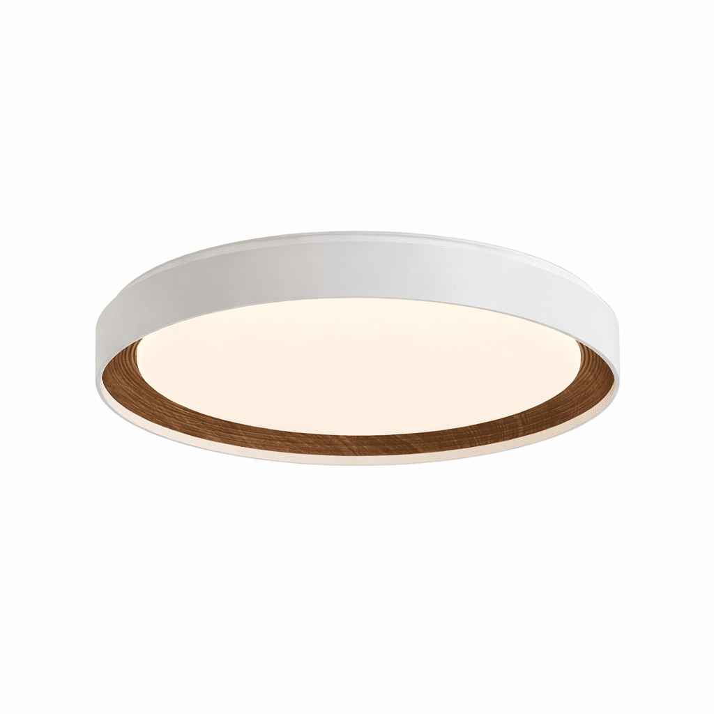 Arto Disc Plafondlamp