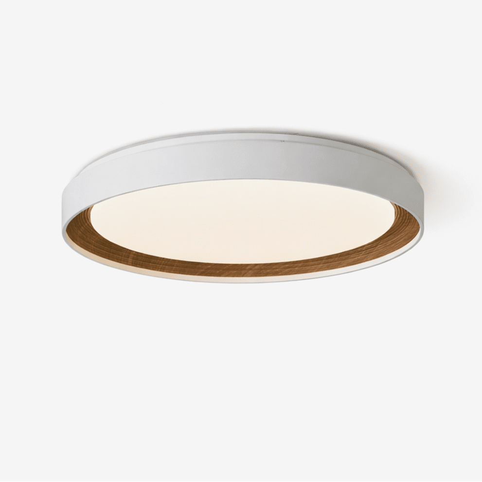 Arto Disc Plafondlamp