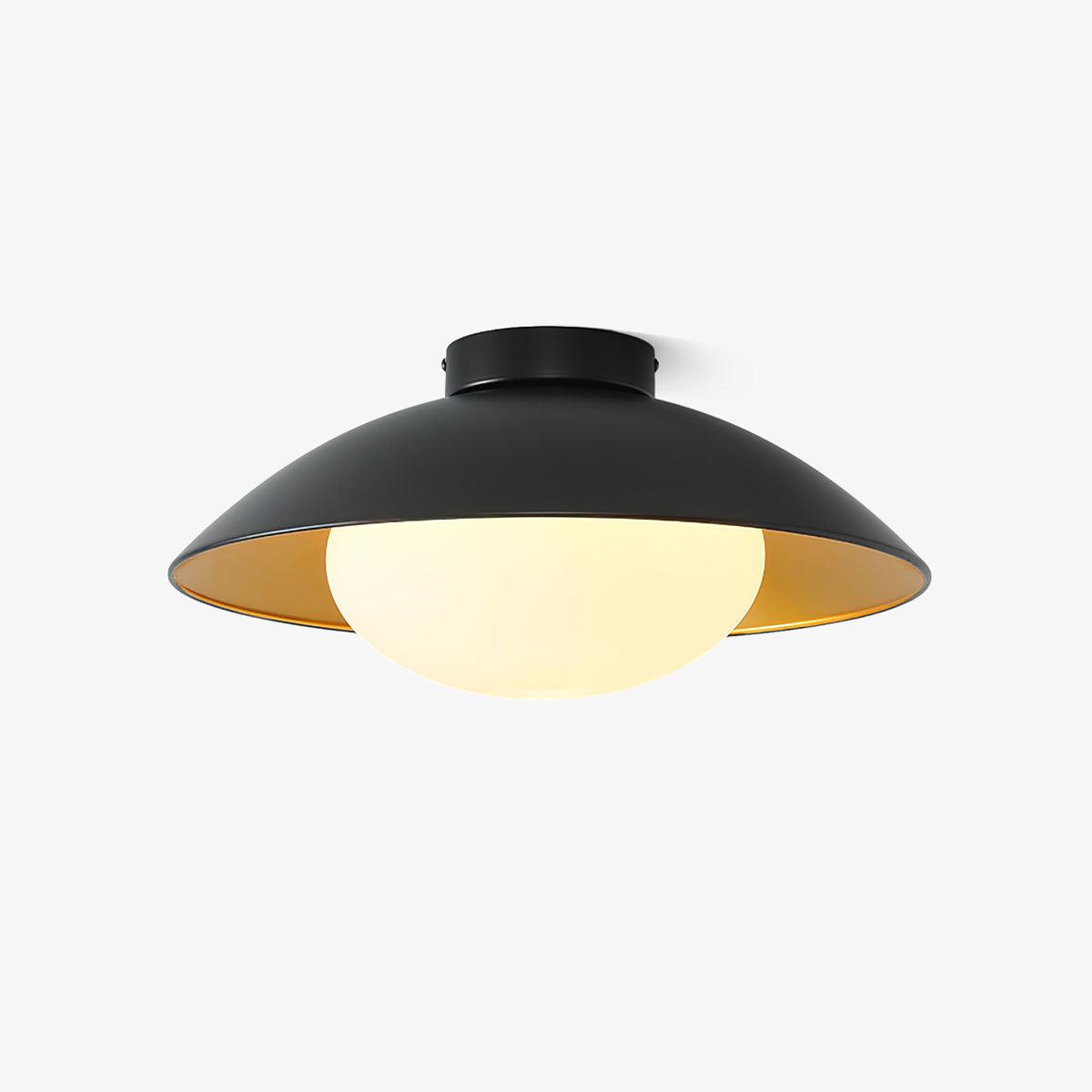 Adrienne Plafondlamp (NAAM DUBBEL VAK)