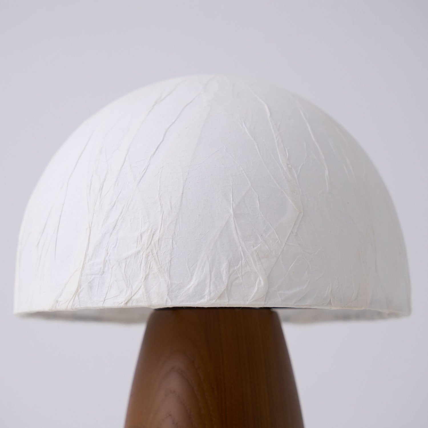 Melsy Mushroom Tafellamp